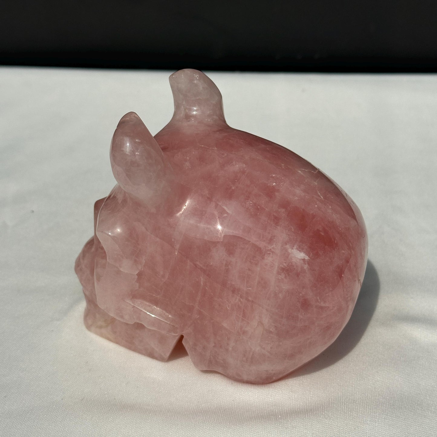 Large Rose Quartz Horned Skull, Hand Carved Pink Crystal Demon Skull, Heavy Polished Gemstone Gargoyle Decor Exact Specimen 2.7lb - view 10