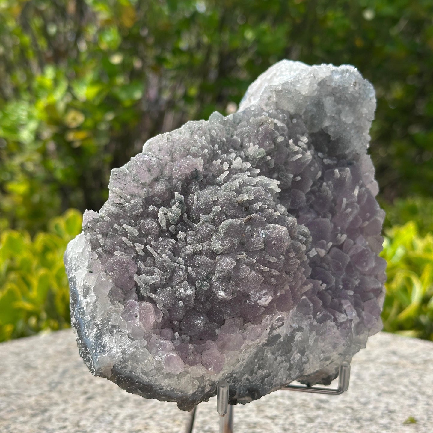 Rare Brazilian Sugar Amethyst Cluster with Calcite Symbiosis, Botryoidal Druzy Crystal on Custom Stand, Altar Decor Exact Specimen 2.87lb