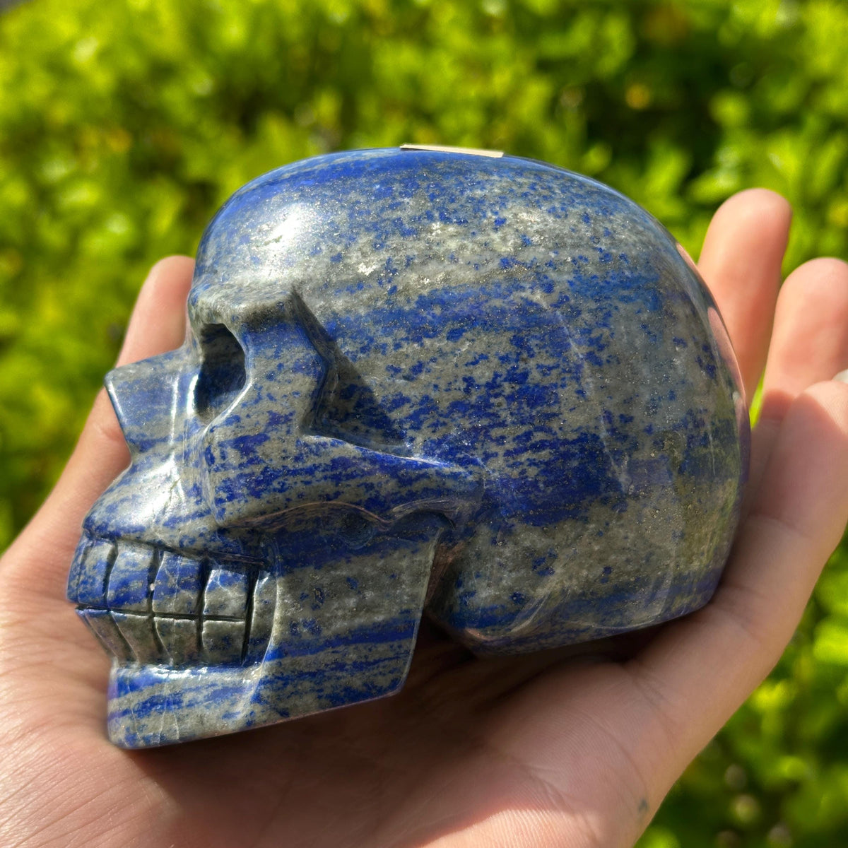 Realistic Lapis Lazuli Skull Carving, Natural Blue Crystal Skull with Pyrite, Gothic Decor Witchy Altar Exact Specimen 2.15lb - view 10