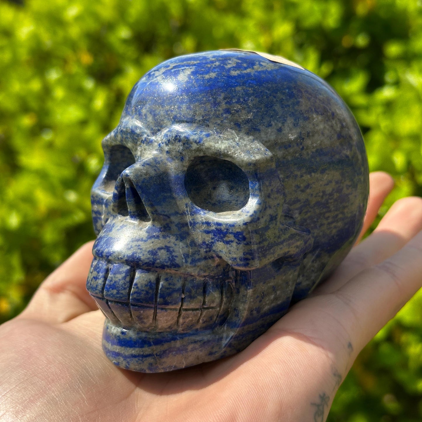 Realistic Lapis Lazuli Skull Carving, Natural Blue Crystal Skull with Pyrite, Gothic Decor Witchy Altar Exact Specimen 2.15lb