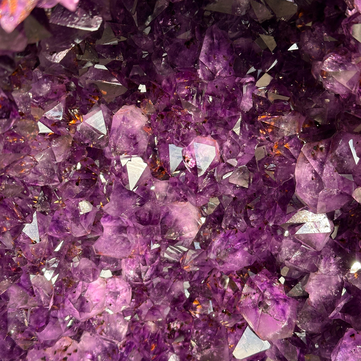 Top Grade Brazilian Amethyst Geode with Calcite and Golden Rutile Inclusions, Natural Outer Rind Crystal Cave, 33.4kg Exact Specimen - view 10