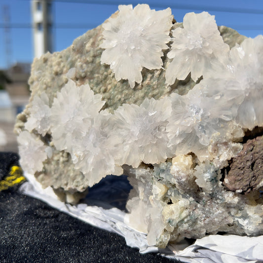 Natural Starburst Quartz Cluster on Green Epidote, Daisy Flower Crystal Specimen, Raw Crystal Cluster , Healing Crystal Home Decor