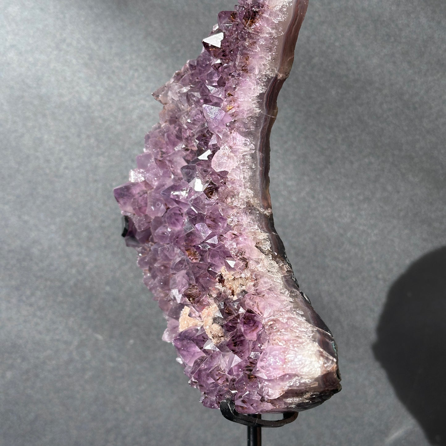 Collector Grade Brazilian Amethyst Moon – Titanium Quartz & Soft Sugar Formation