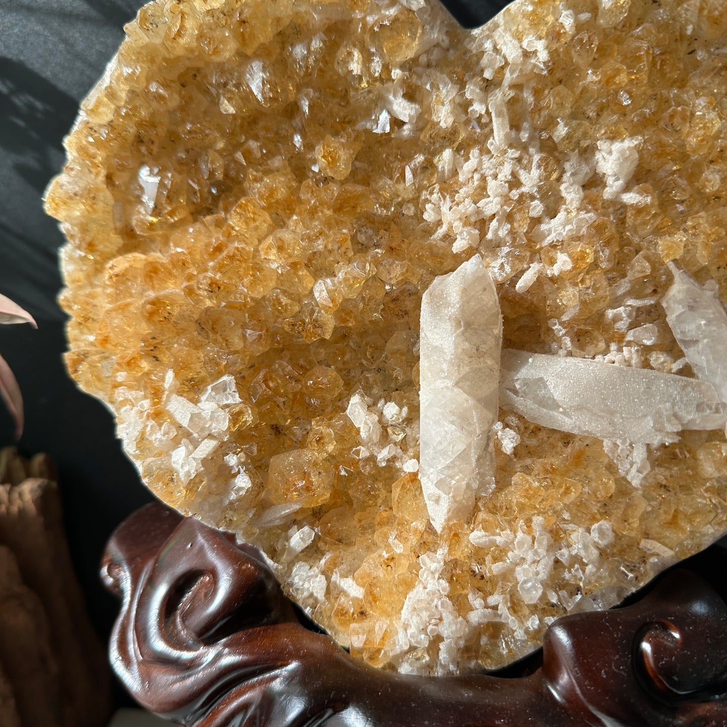 Large Brazilian Yellow Quartz & Calcite Coexisting Crystal Heart with Solid Wood Base