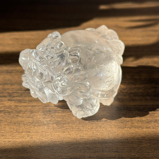 Natural Clear Quartz Dragon Turtle Carving Display Stone One of a Kind