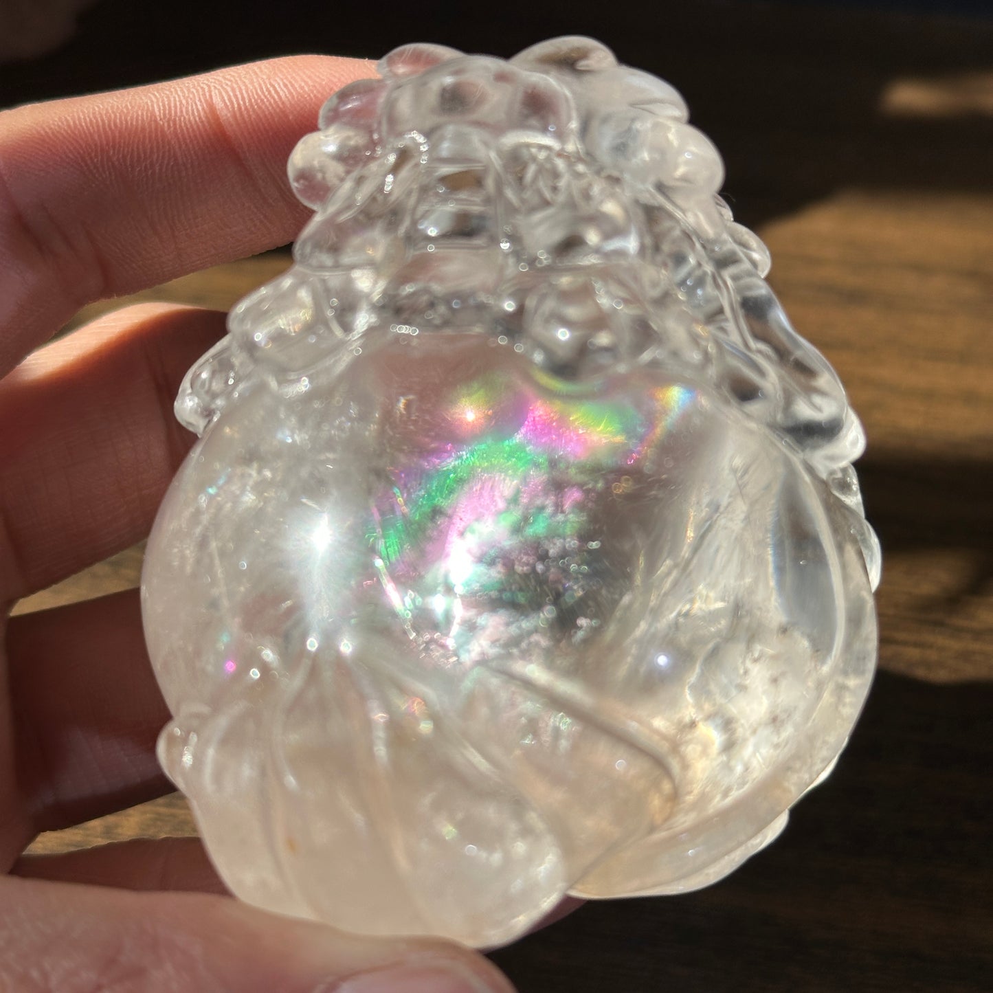 Natural Clear Quartz Dragon Turtle Carving Display Stone One of a Kind
