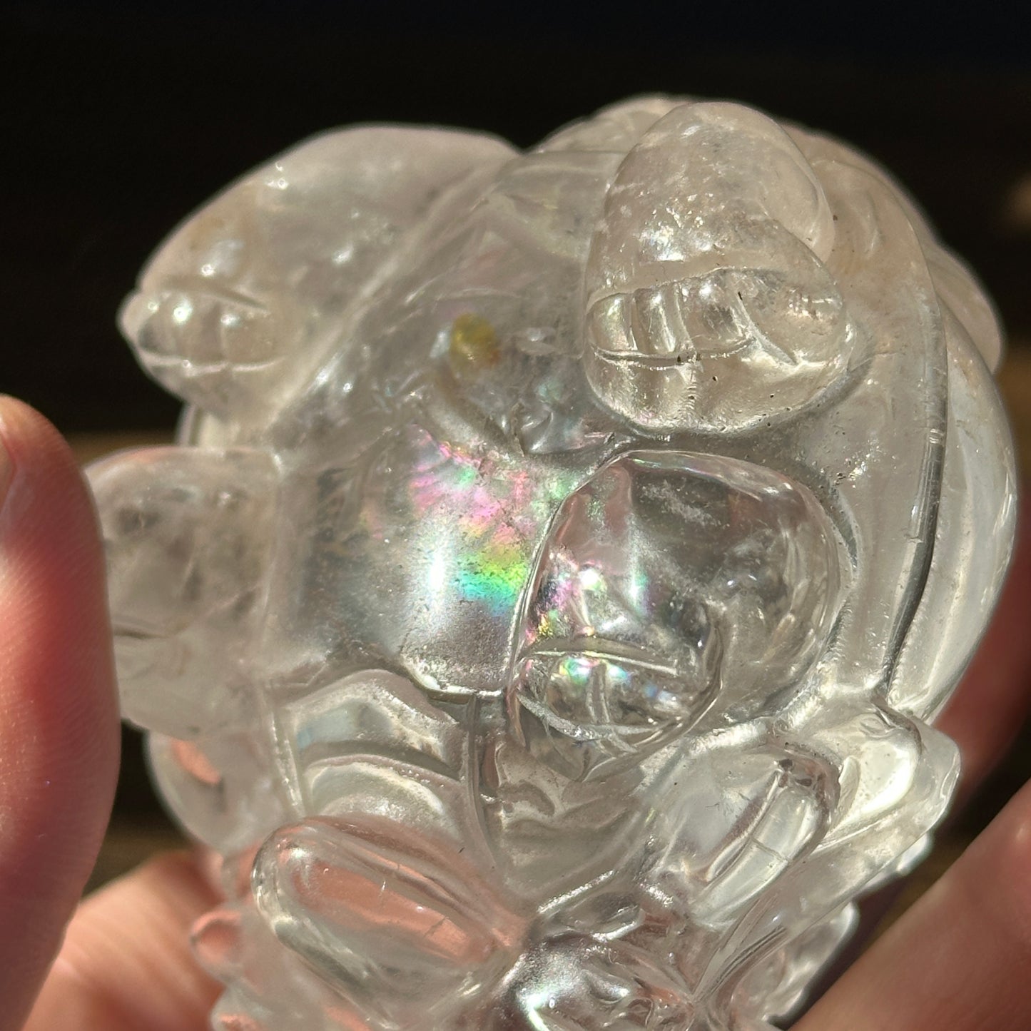 Natural Clear Quartz Dragon Turtle Carving Display Stone One of a Kind
