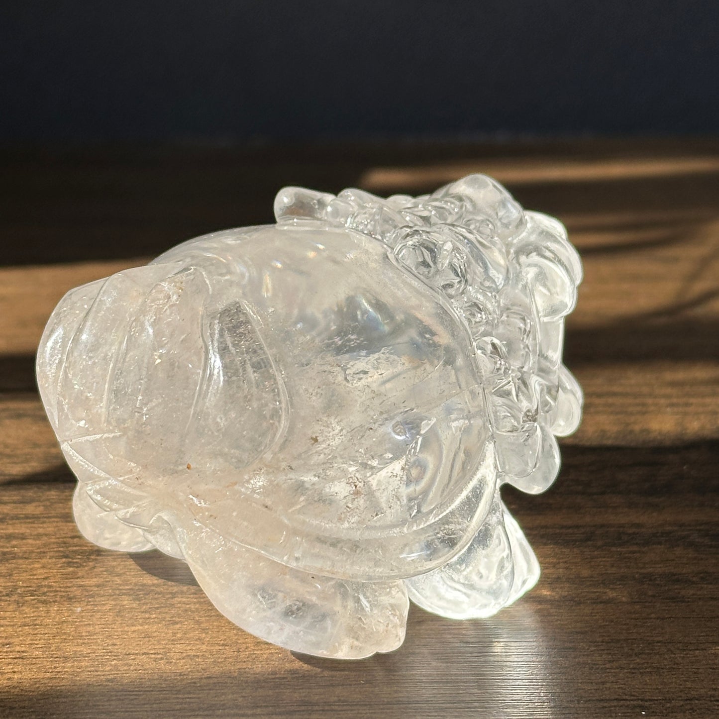 Natural Clear Quartz Dragon Turtle Carving Display Stone One of a Kind