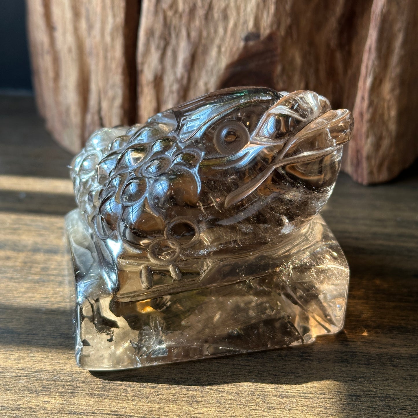 Natural Quartz Dragon Turtle and Toad Carving Display Stones One of a Kind