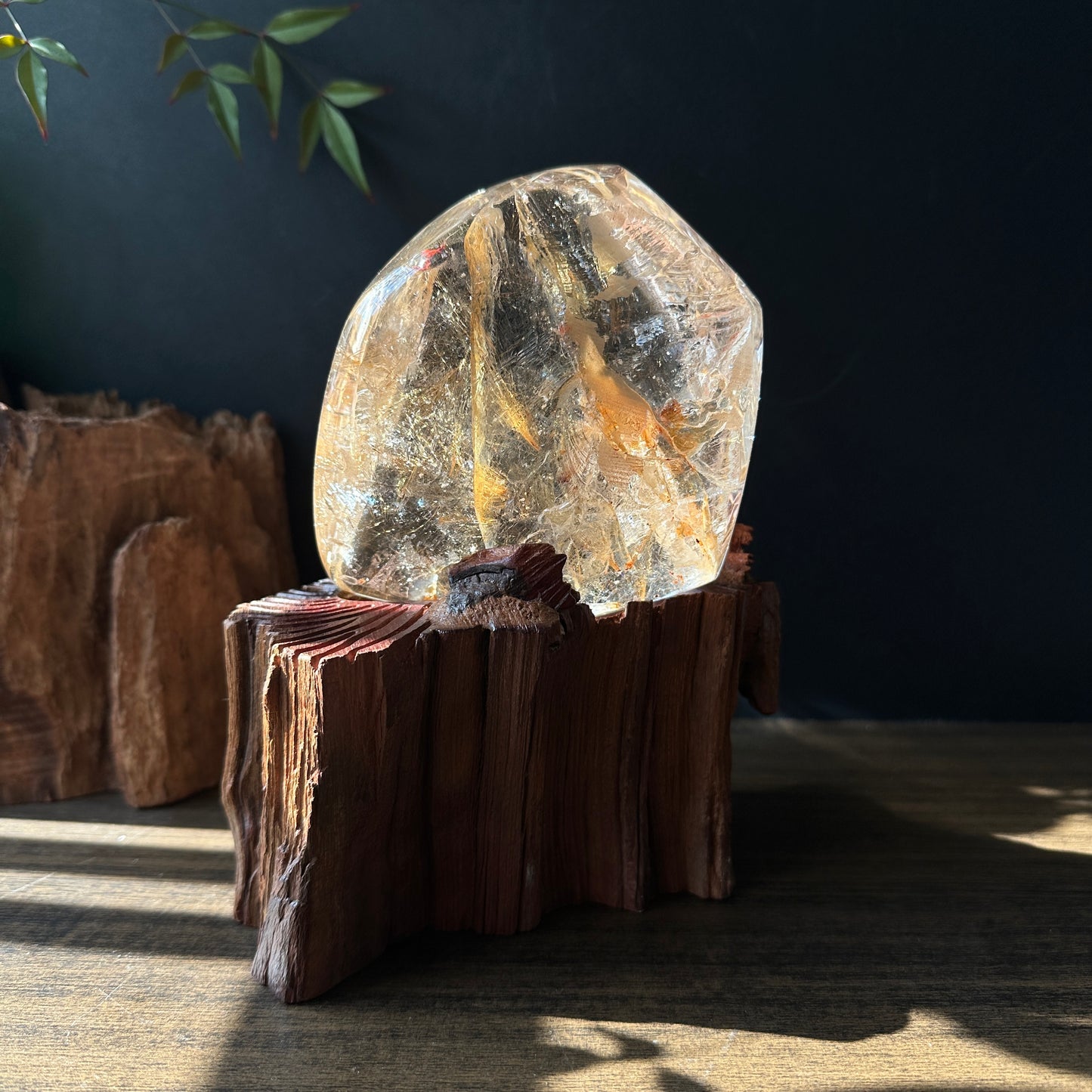 Natural Rutilated Quartz Rough Crystal Large Raw Specimen Display Stone One of a Kind