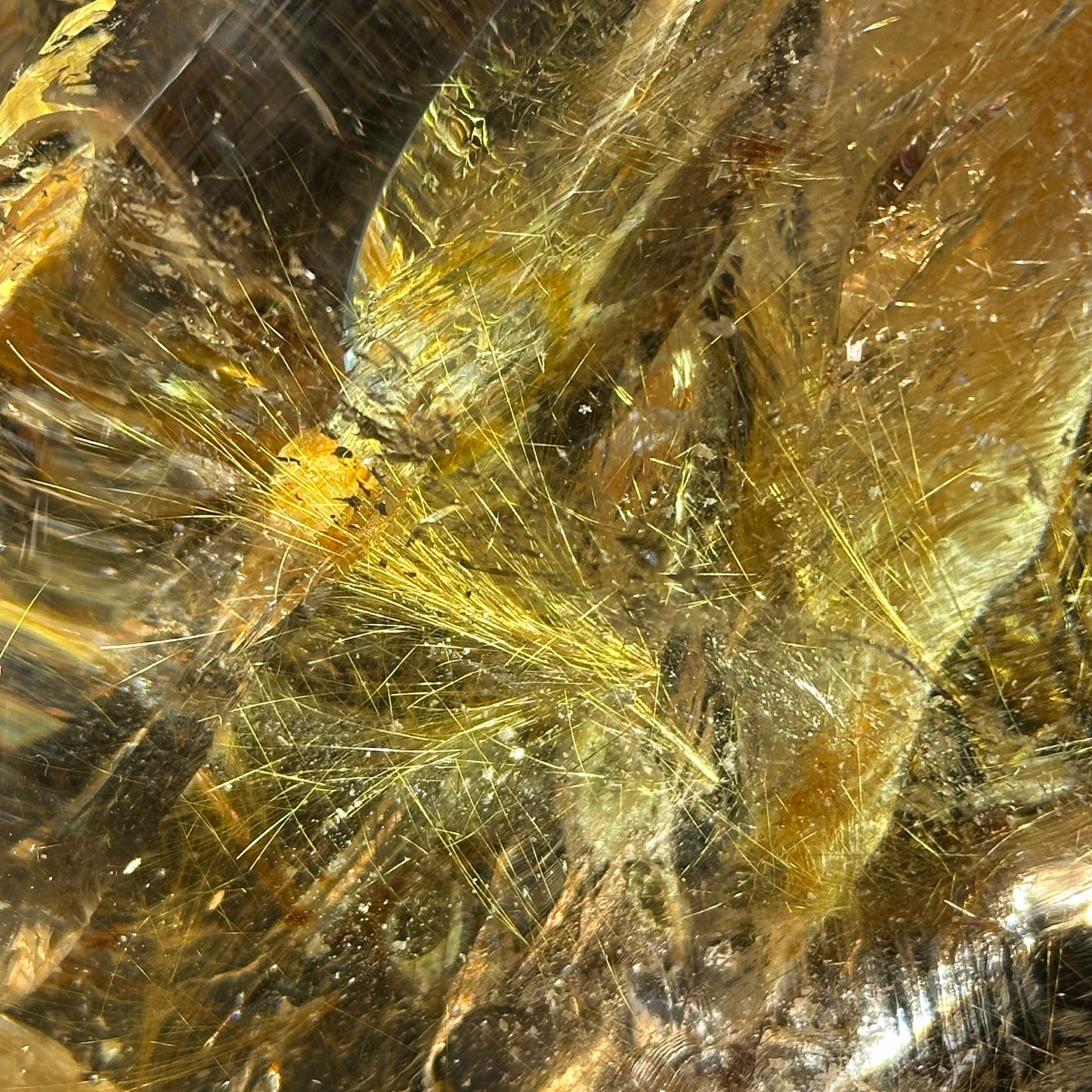 Natural Rutilated Quartz Rough Crystal Large Raw Specimen Display Stone One of a Kind