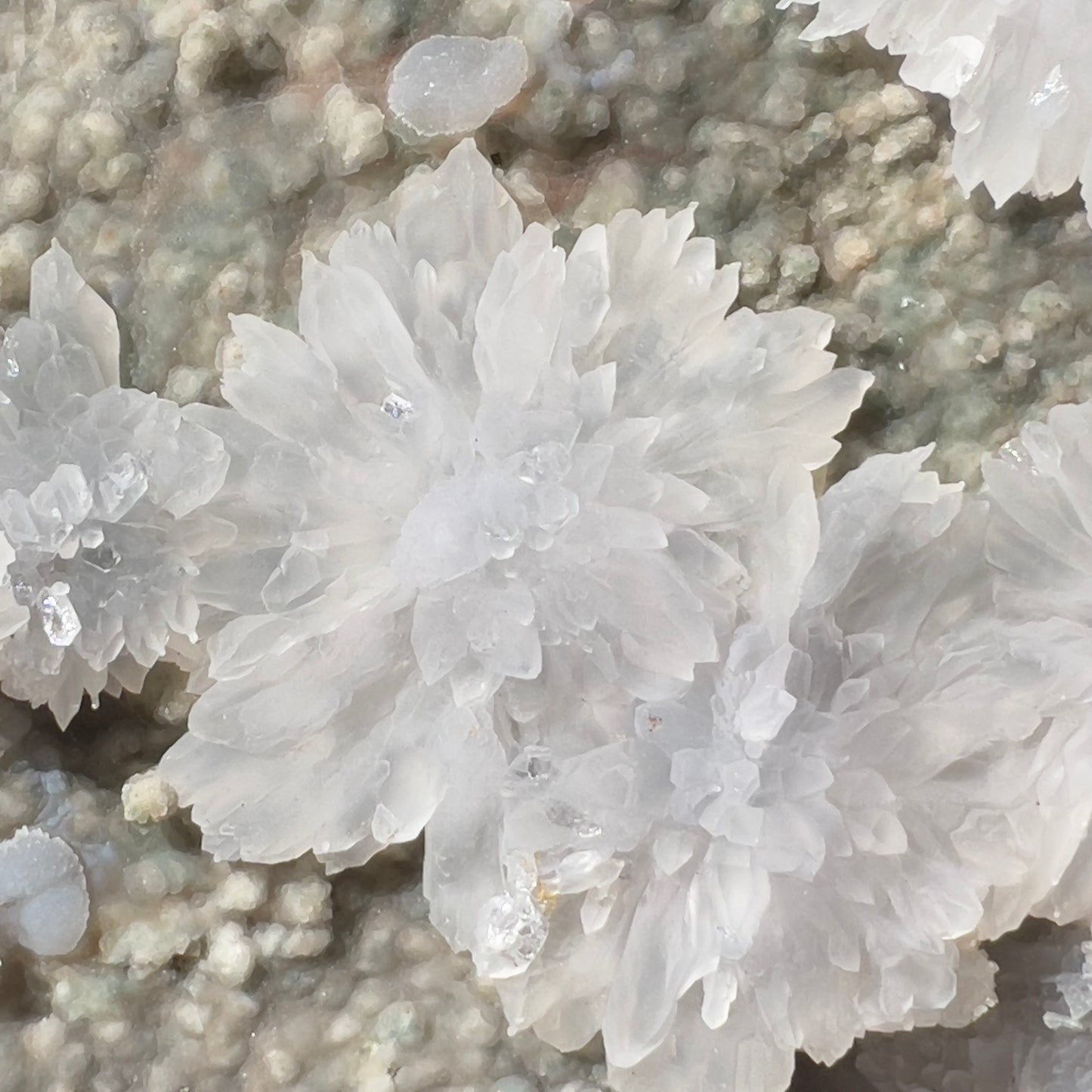 Natural Starburst Quartz Cluster on Green Epidote, Daisy Flower Crystal Specimen, Raw Crystal Cluster , Healing Crystal Home Decor
