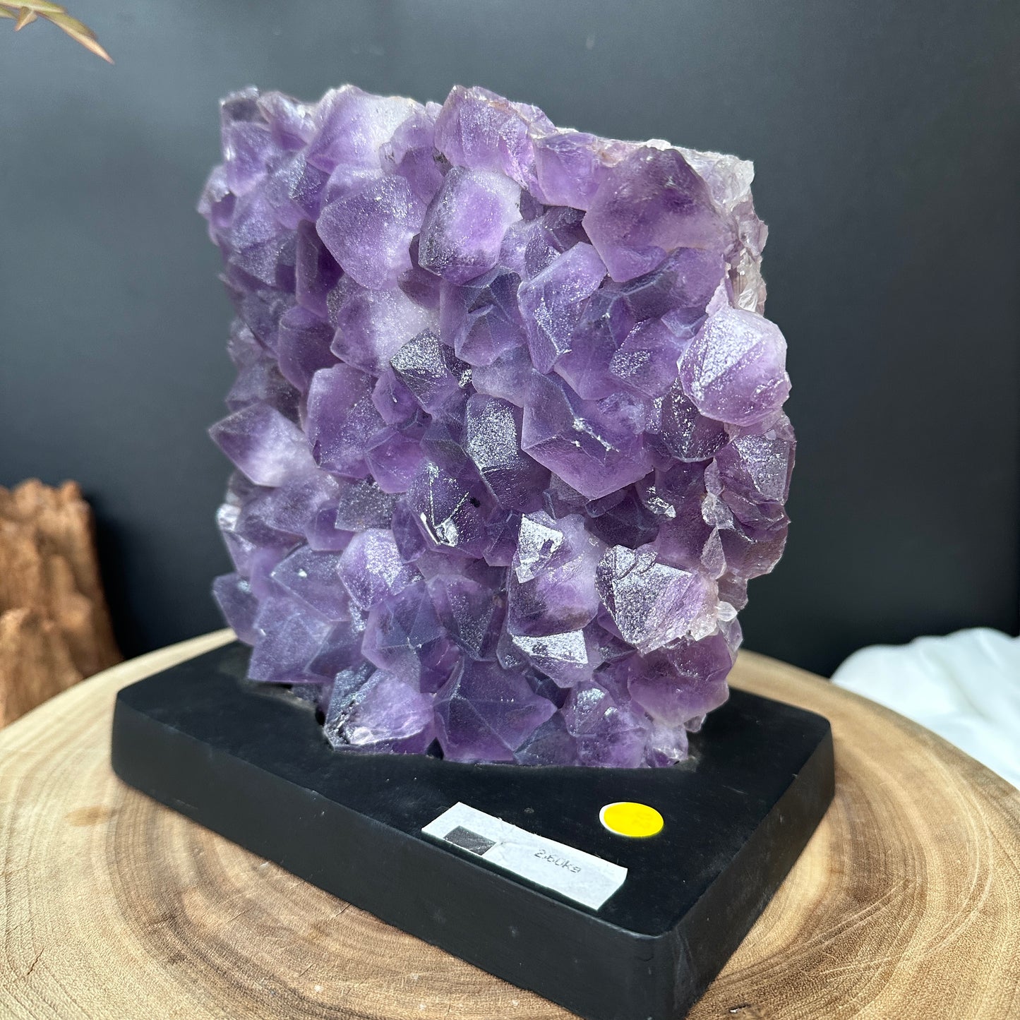 Large Brazilian Sugar Amethyst Cluster on Custom Stand, Raw Purple Druzy Crystal Specimen, Exact Healing Mineral Decor 5.73lb