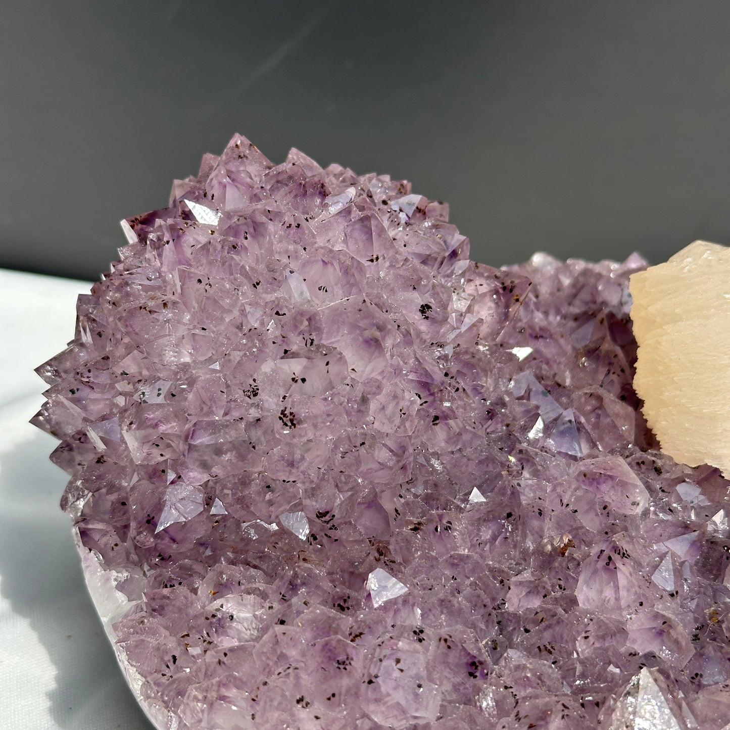 Rare Amethyst Crystal Flower & Intact Calcite Symbiosis, Rutilated Quartz Cluster Specimen, Polished Brazilian Geode by Hobo Exact 6.6lb