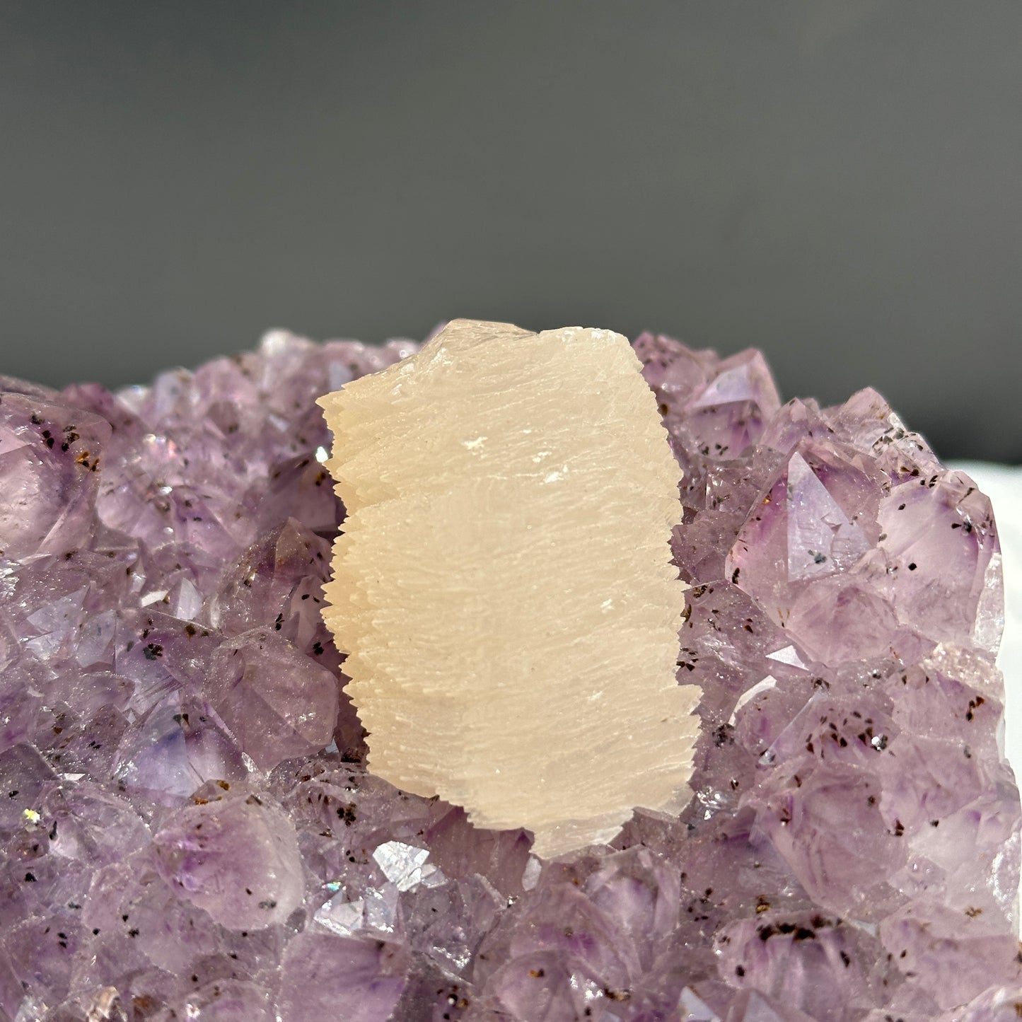 Rare Amethyst Crystal Flower & Intact Calcite Symbiosis, Rutilated Quartz Cluster Specimen, Polished Brazilian Geode by Hobo Exact 6.6lb