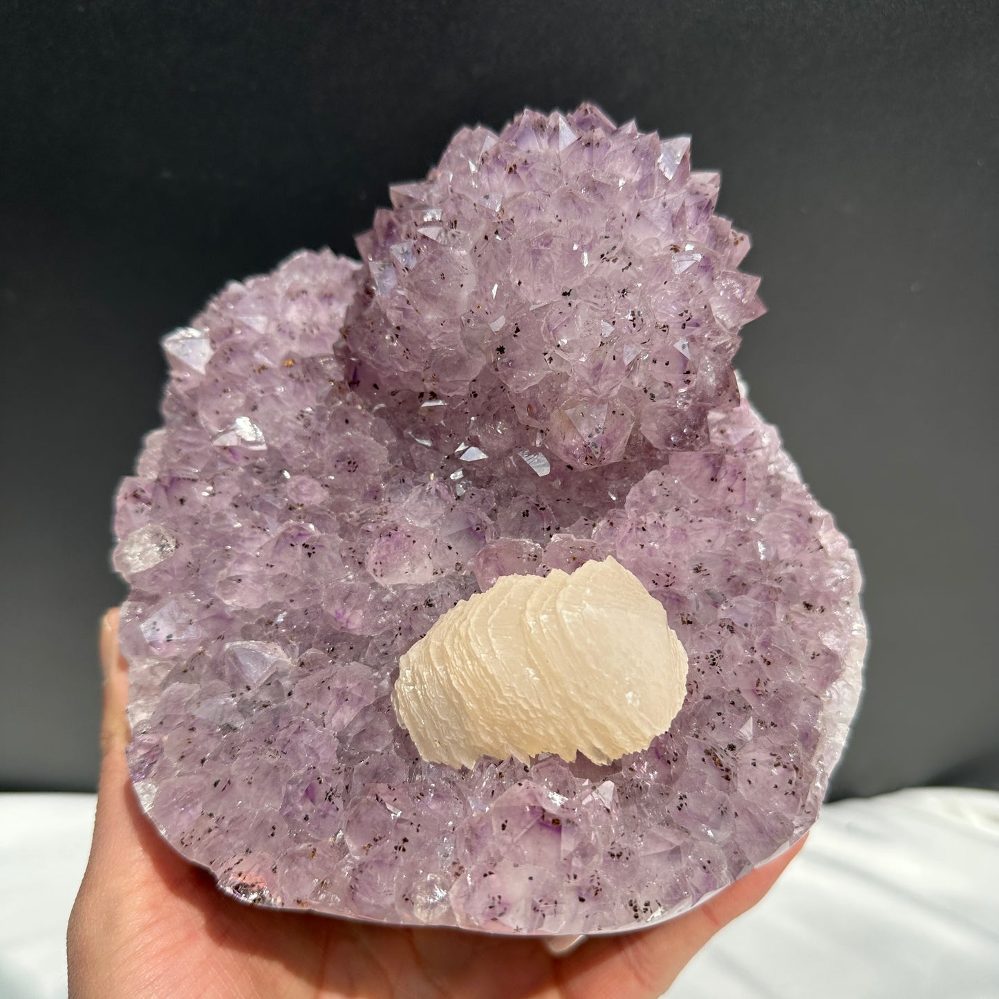 Rare Amethyst Crystal Flower & Intact Calcite Symbiosis, Rutilated Quartz Cluster Specimen, Polished Brazilian Geode by Hobo Exact 6.6lb