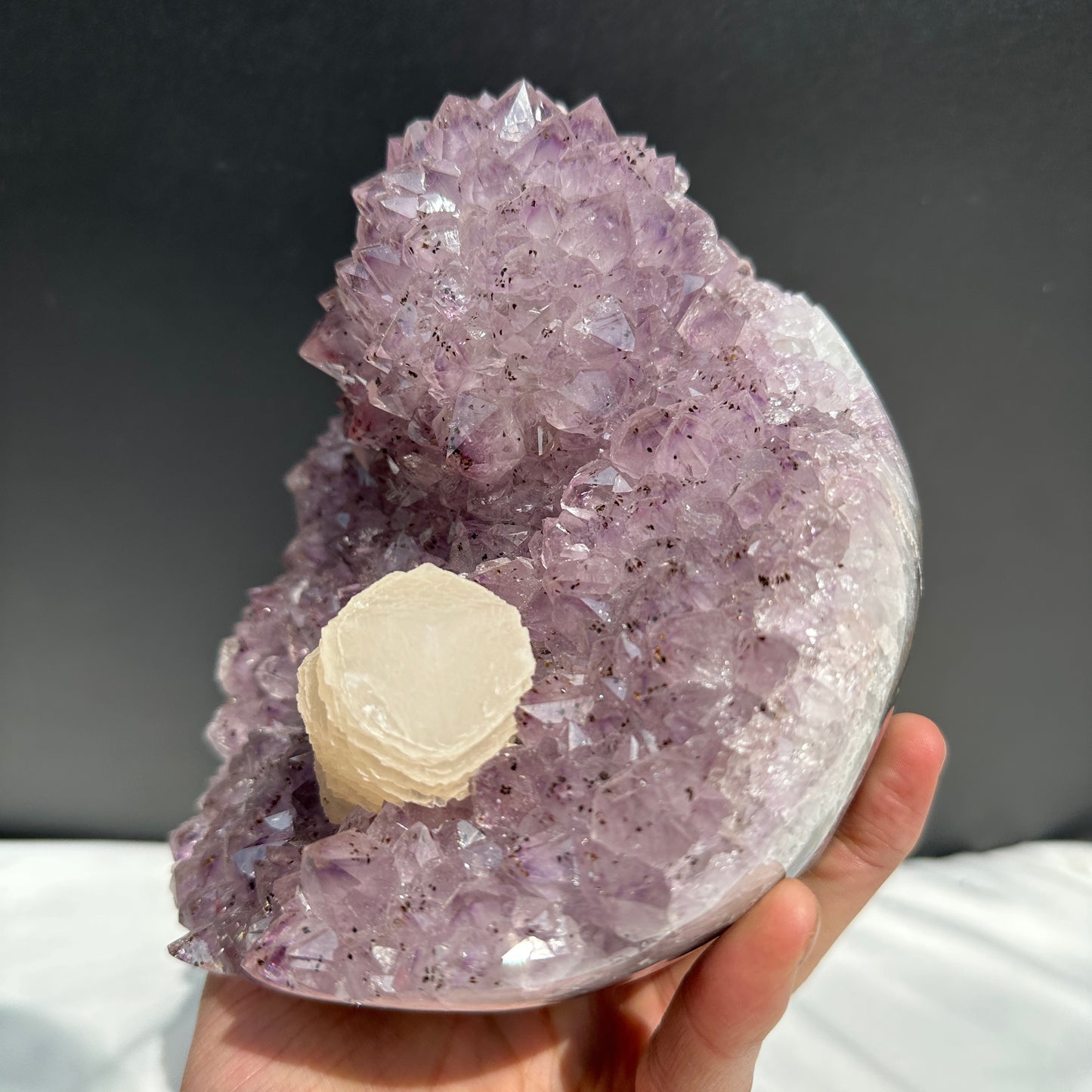 Rare Amethyst Crystal Flower & Intact Calcite Symbiosis, Rutilated Quartz Cluster Specimen, Polished Brazilian Geode by Hobo Exact 6.6lb