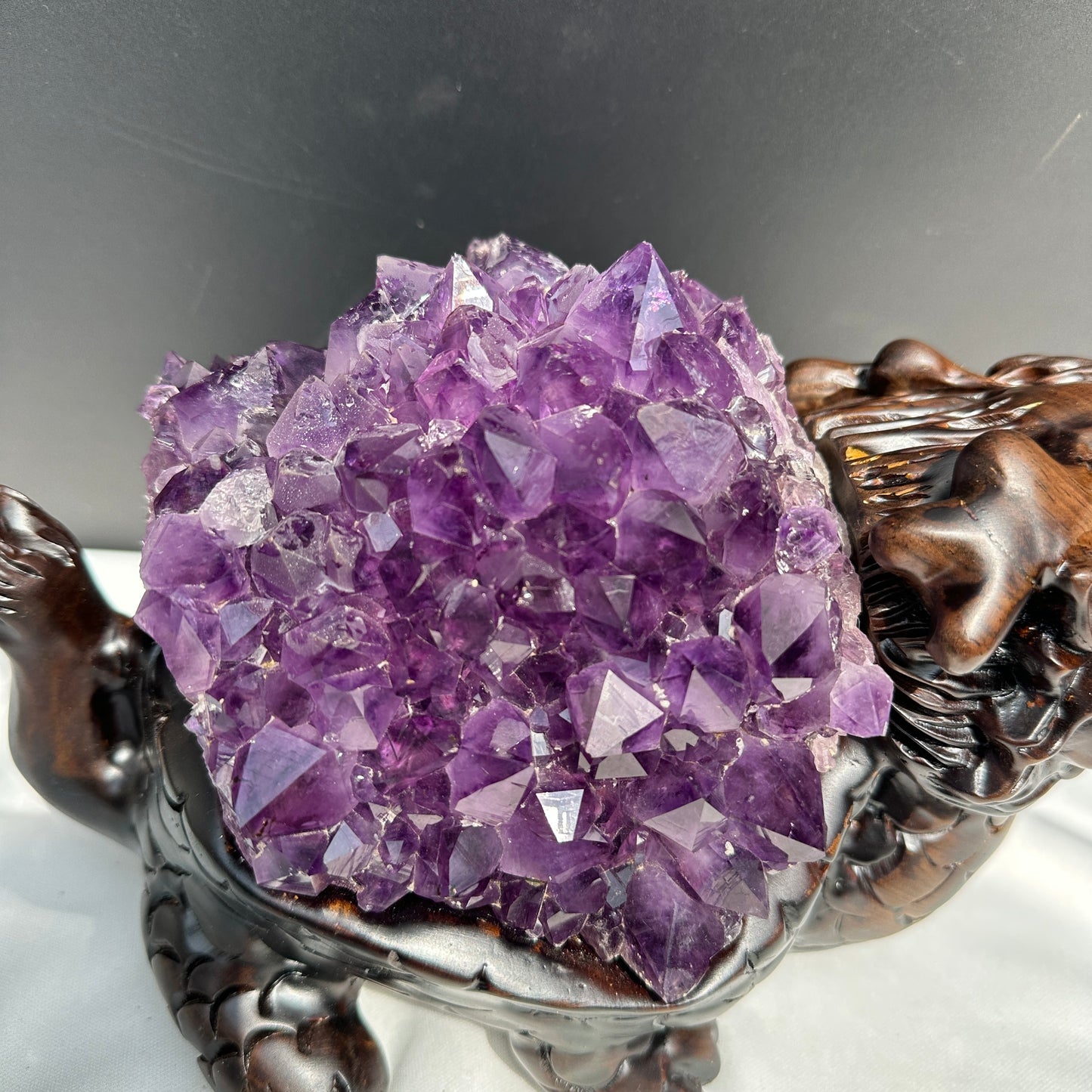 Exclusive Pair of Amethyst Dragon Turtles on Ebony Wood Stands, Hobo Original Design Feng Shui Wealth Decor, Sugar Druzy Crystal Set 14lb