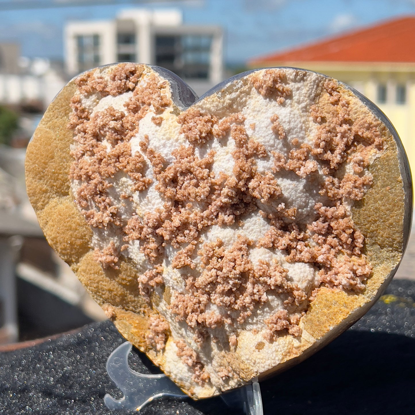 Rare Pink Calcite on Yellow Agate Heart (1.65lb) | Symbiotic Brazilian Mineral Specimen | Golden Druzy Crystal Flower | 6.1" Large Decor
