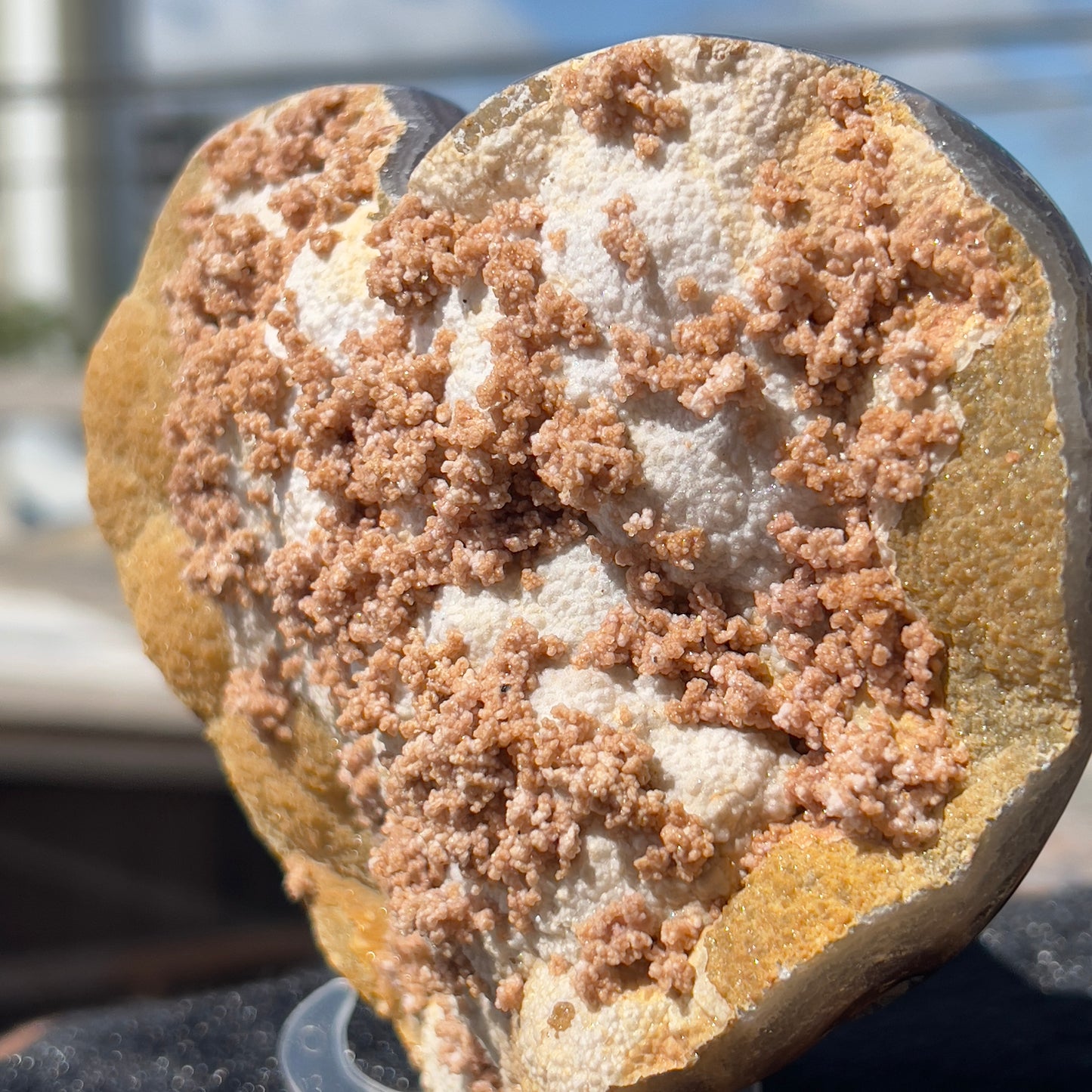 Rare Pink Calcite on Yellow Agate Heart (1.65lb) | Symbiotic Brazilian Mineral Specimen | Golden Druzy Crystal Flower | 6.1" Large Decor