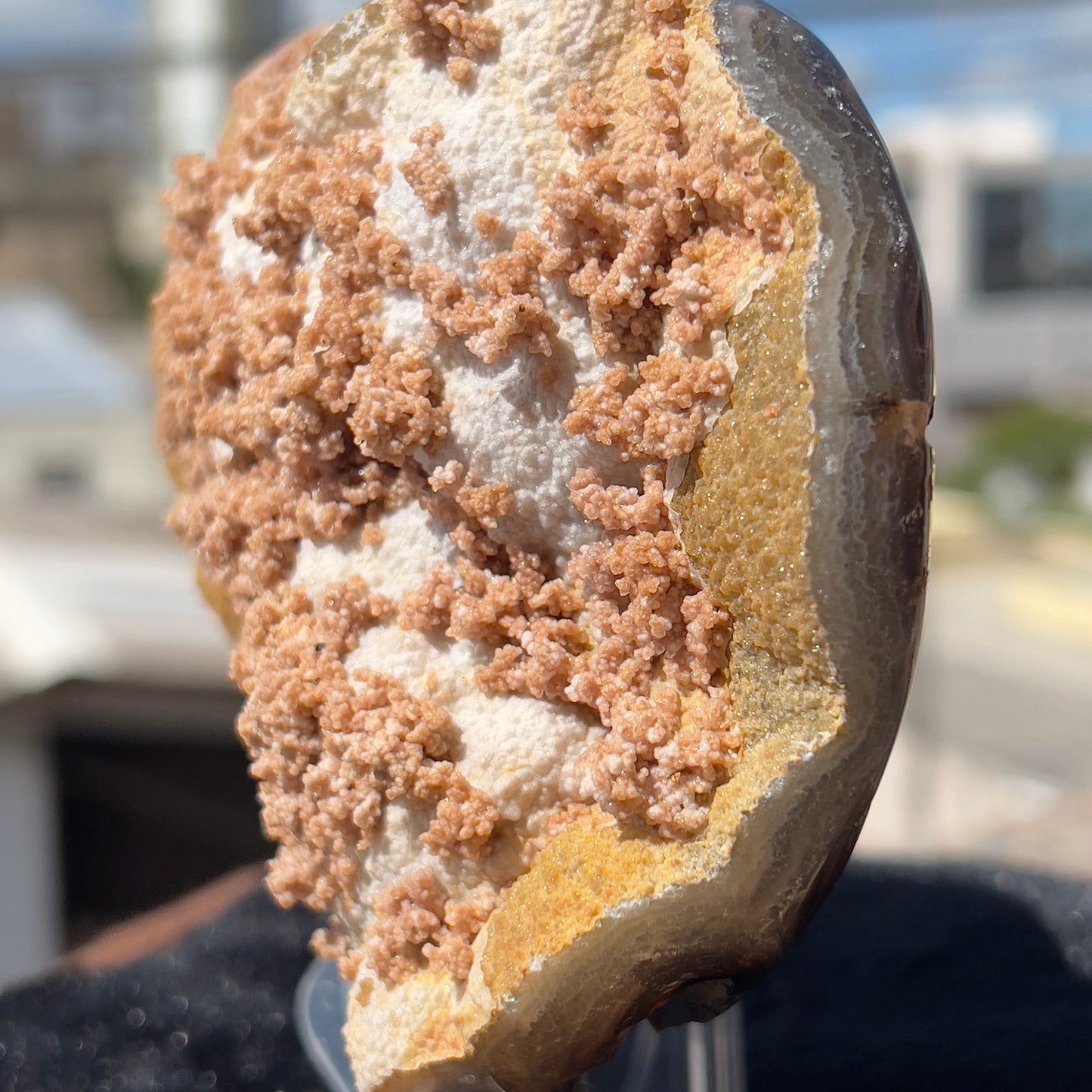 Rare Pink Calcite on Yellow Agate Heart (1.65lb) | Symbiotic Brazilian Mineral Specimen | Golden Druzy Crystal Flower | 6.1" Large Decor