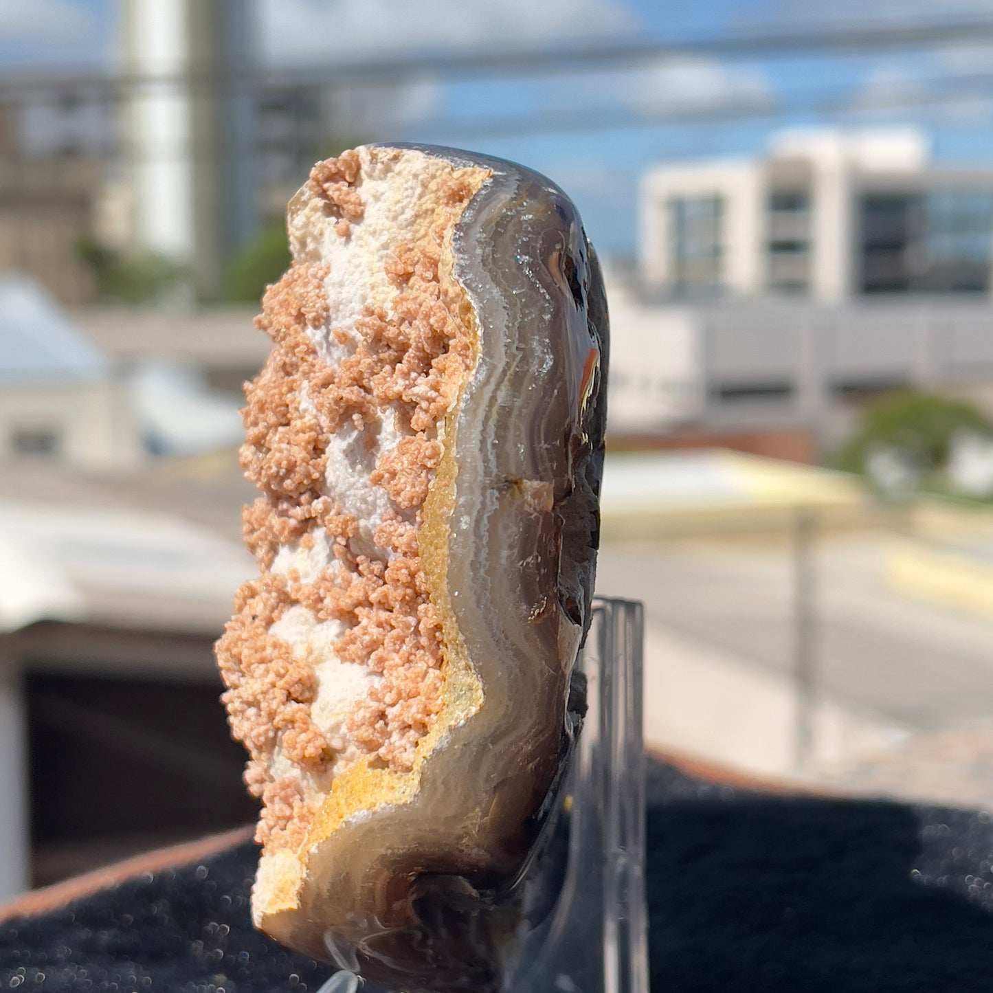 Rare Pink Calcite on Yellow Agate Heart (1.65lb) | Symbiotic Brazilian Mineral Specimen | Golden Druzy Crystal Flower | 6.1" Large Decor