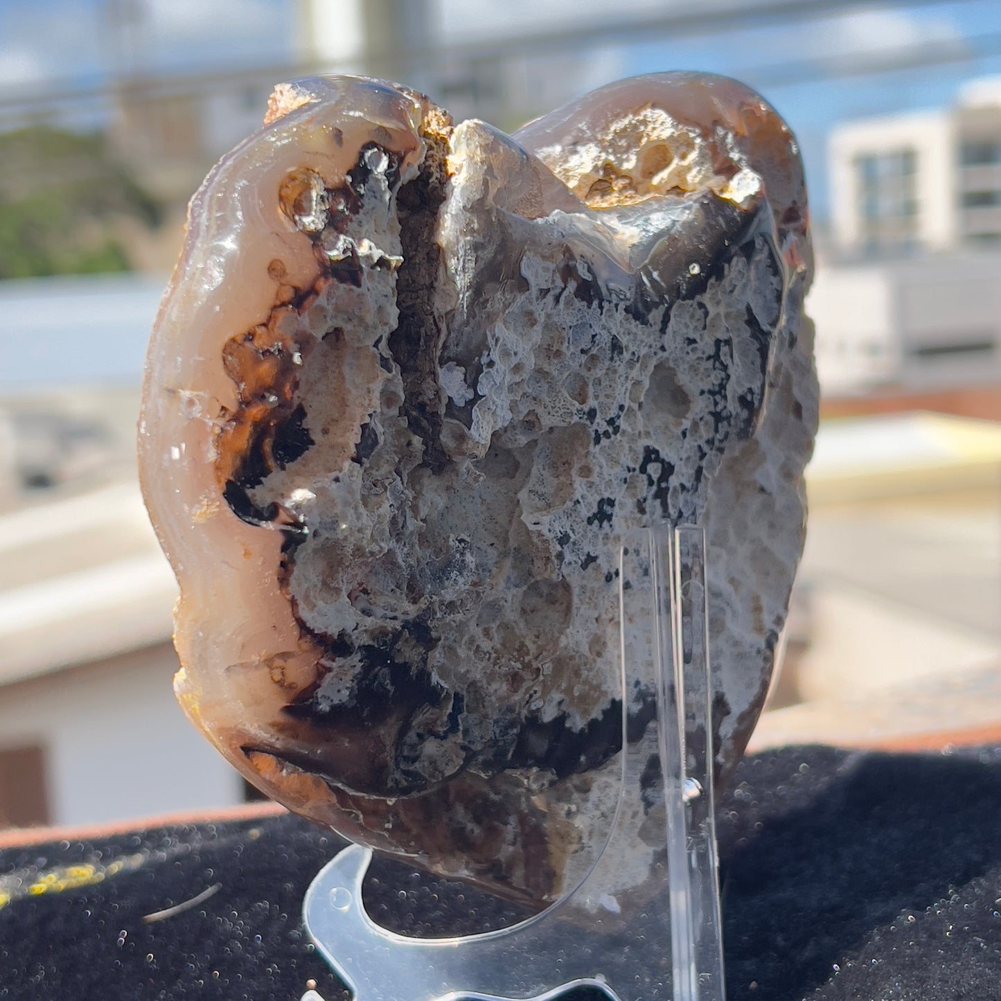 Rare Pink Calcite on Yellow Agate Heart (1.65lb) | Symbiotic Brazilian Mineral Specimen | Golden Druzy Crystal Flower | 6.1" Large Decor