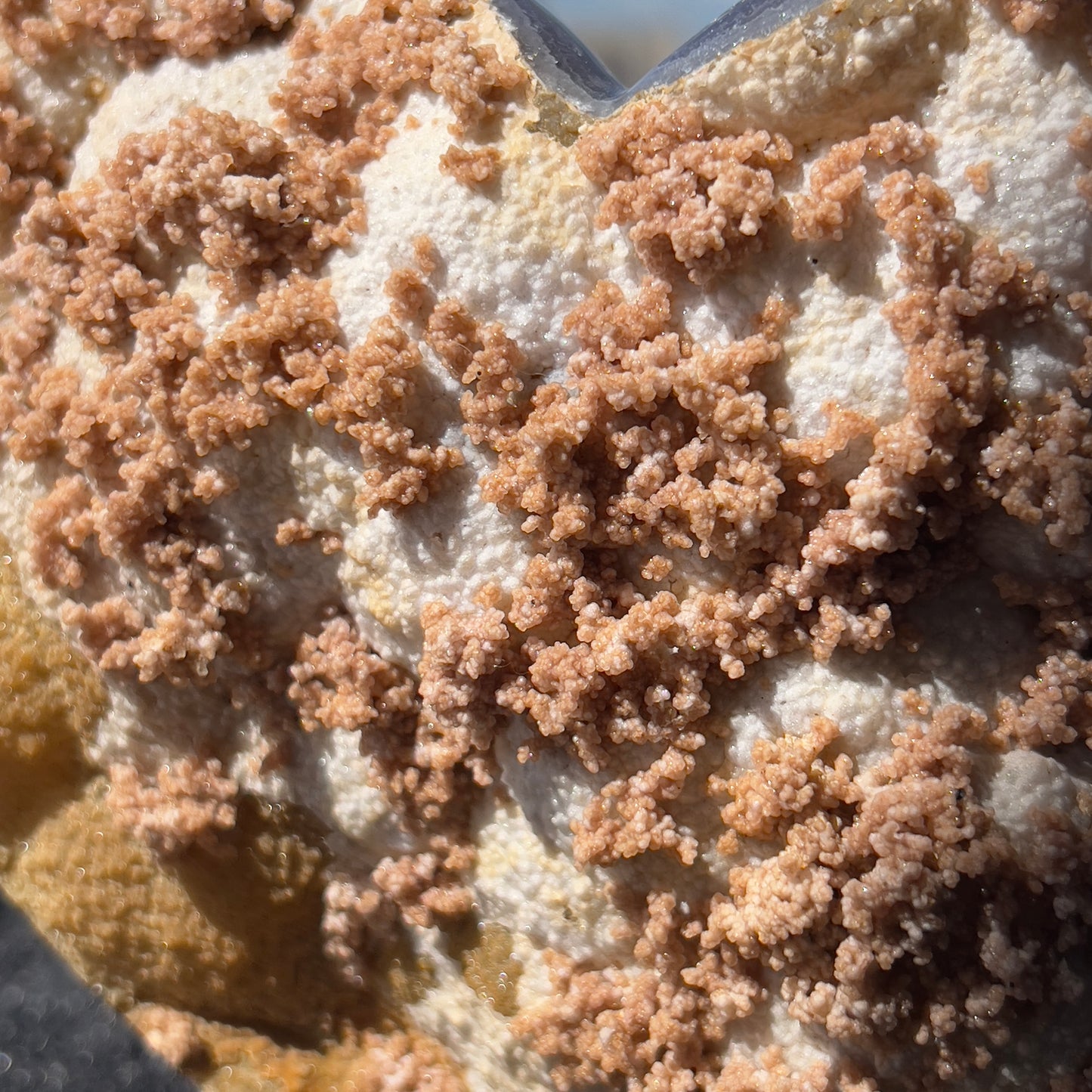 Rare Pink Calcite on Yellow Agate Heart (1.65lb) | Symbiotic Brazilian Mineral Specimen | Golden Druzy Crystal Flower | 6.1" Large Decor