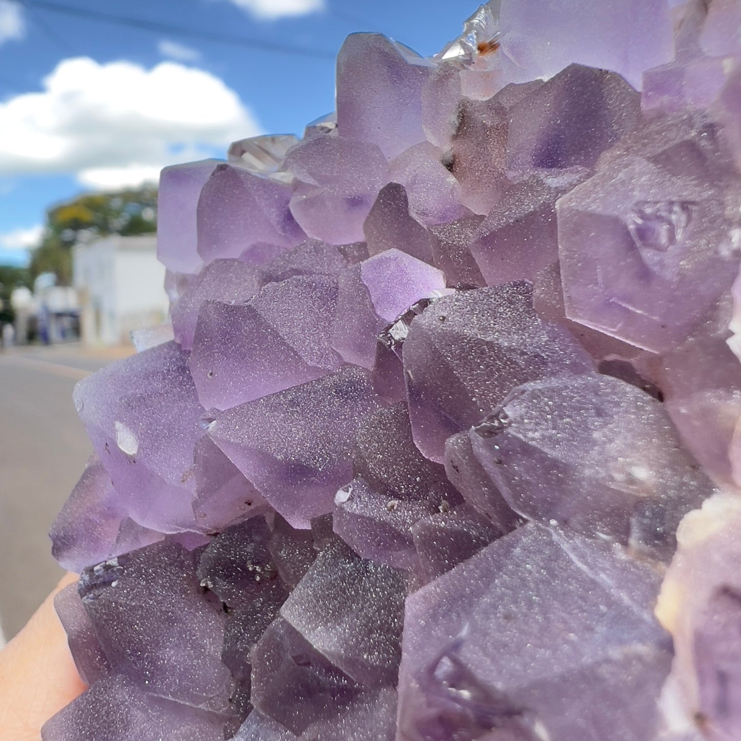 Set of 3 Sugar Amethyst Clusters  | Raw Brazilian Crystal Lot | Sparkly Purple Druzy Collection | Meditation Stone Kit | Wholesale
