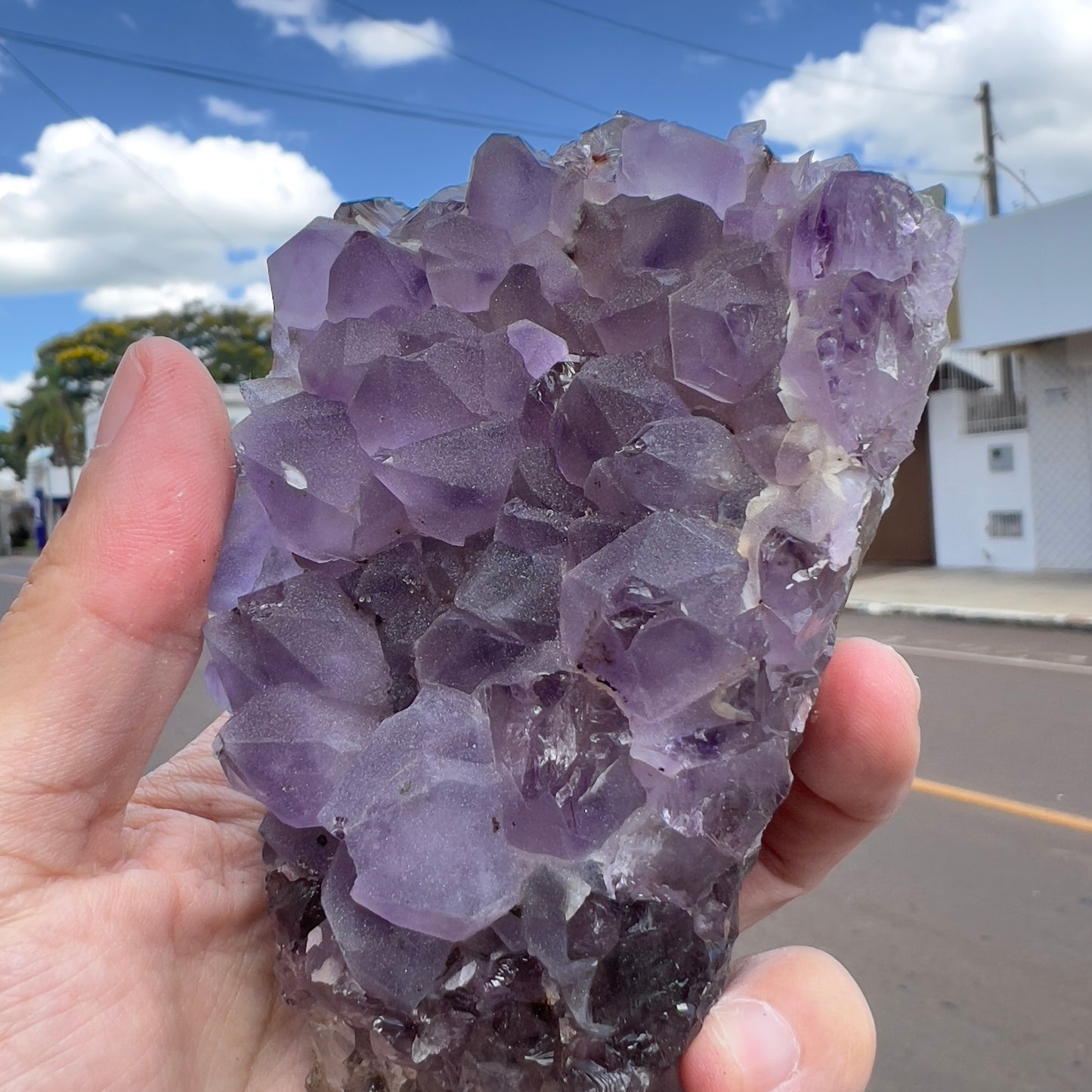 Set of 3 Sugar Amethyst Clusters  | Raw Brazilian Crystal Lot | Sparkly Purple Druzy Collection | Meditation Stone Kit | Wholesale