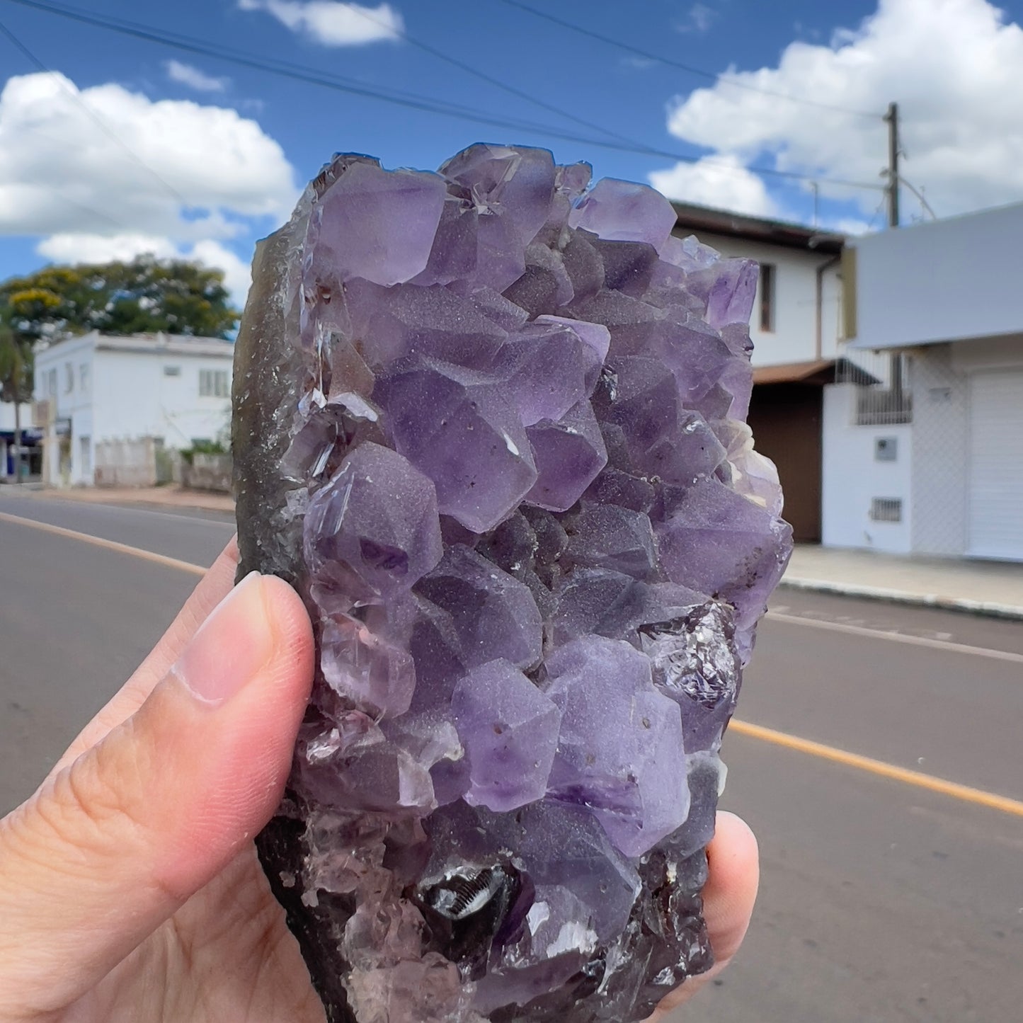 Set of 3 Sugar Amethyst Clusters  | Raw Brazilian Crystal Lot | Sparkly Purple Druzy Collection | Meditation Stone Kit | Wholesale