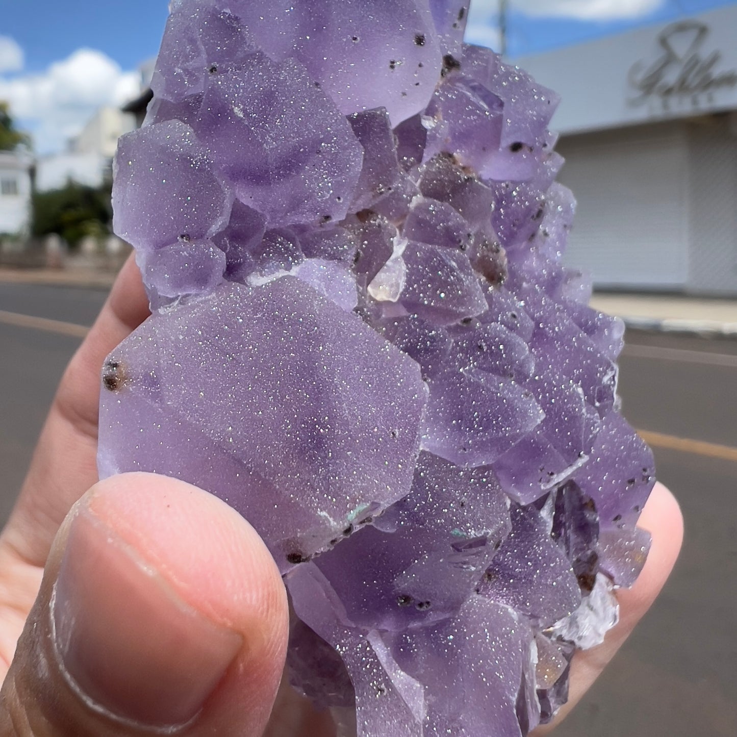Set of 3 Sugar Amethyst Clusters  | Raw Brazilian Crystal Lot | Sparkly Purple Druzy Collection | Meditation Stone Kit | Wholesale