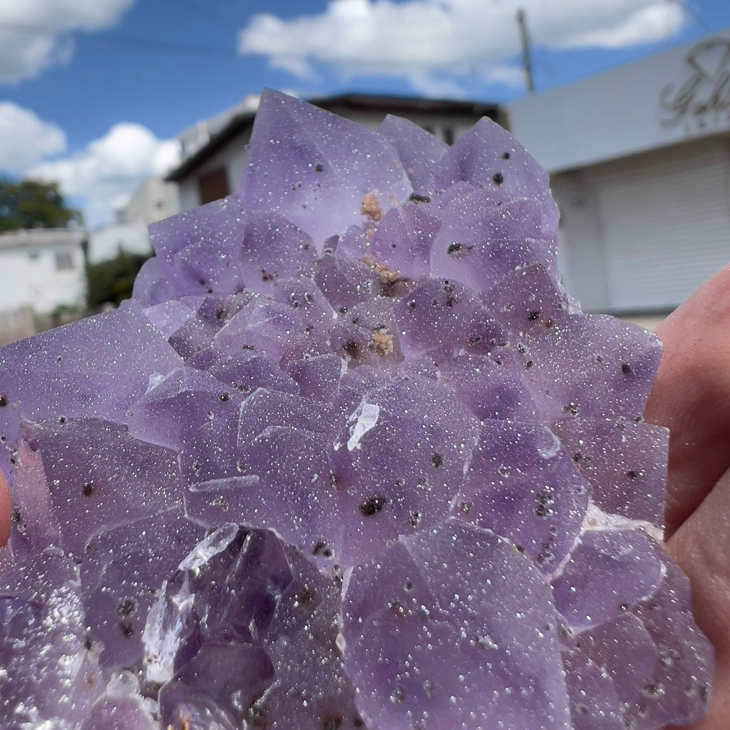 Set of 3 Sugar Amethyst Clusters  | Raw Brazilian Crystal Lot | Sparkly Purple Druzy Collection | Meditation Stone Kit | Wholesale