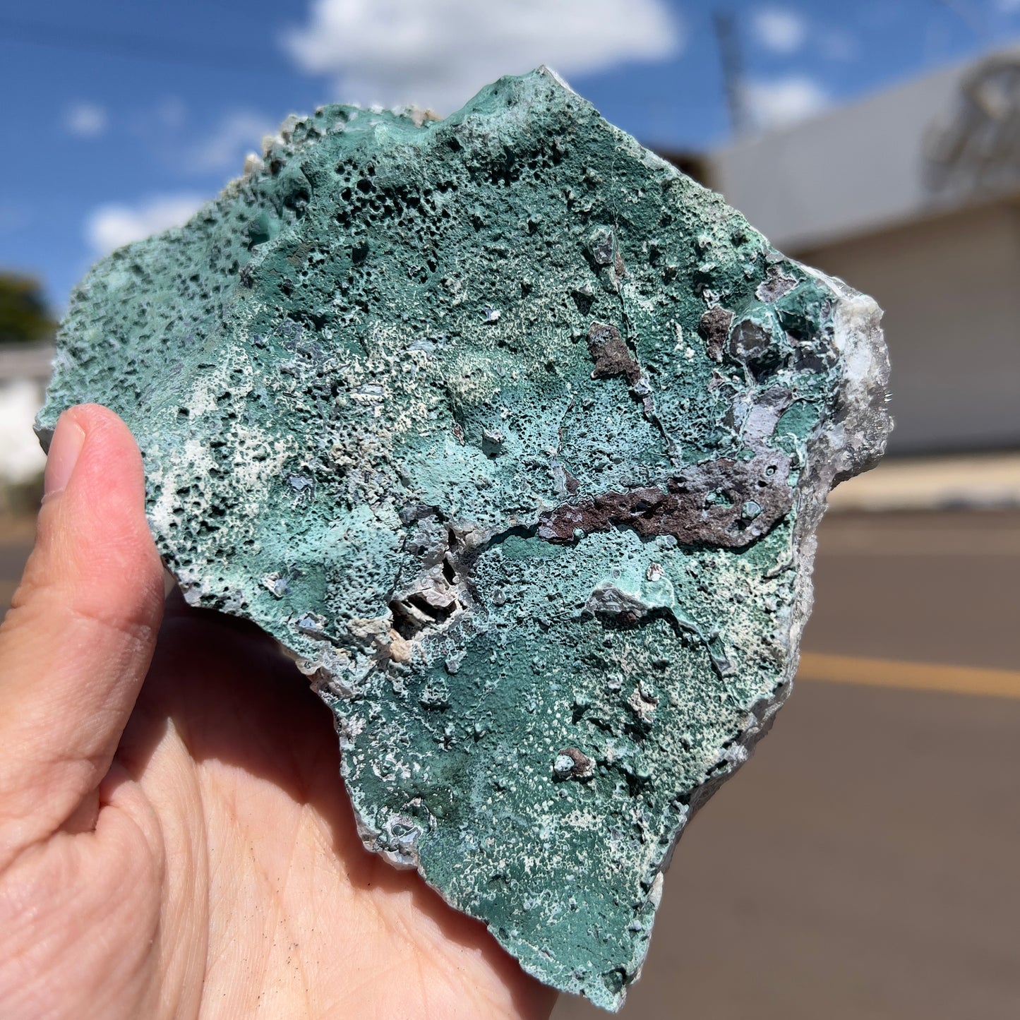 Rare Green Amethyst Stalactite Cluster (1lb) | Brazilian Prasiolite Specimen | Botryoidal Sugar Druzy | Calcite Flower Inclusions | 5.5"