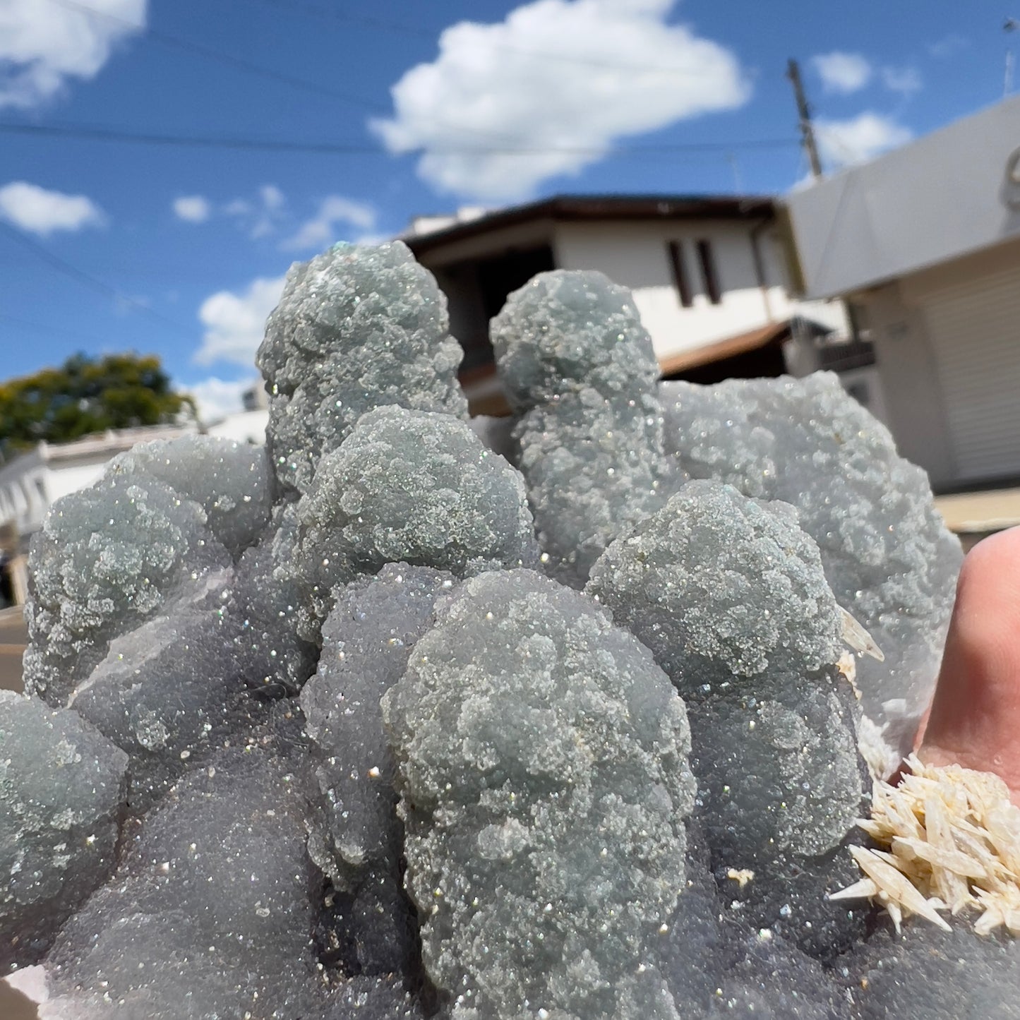 Rare Green Amethyst Stalactite Cluster (1lb) | Brazilian Prasiolite Specimen | Botryoidal Sugar Druzy | Calcite Flower Inclusions | 5.5"