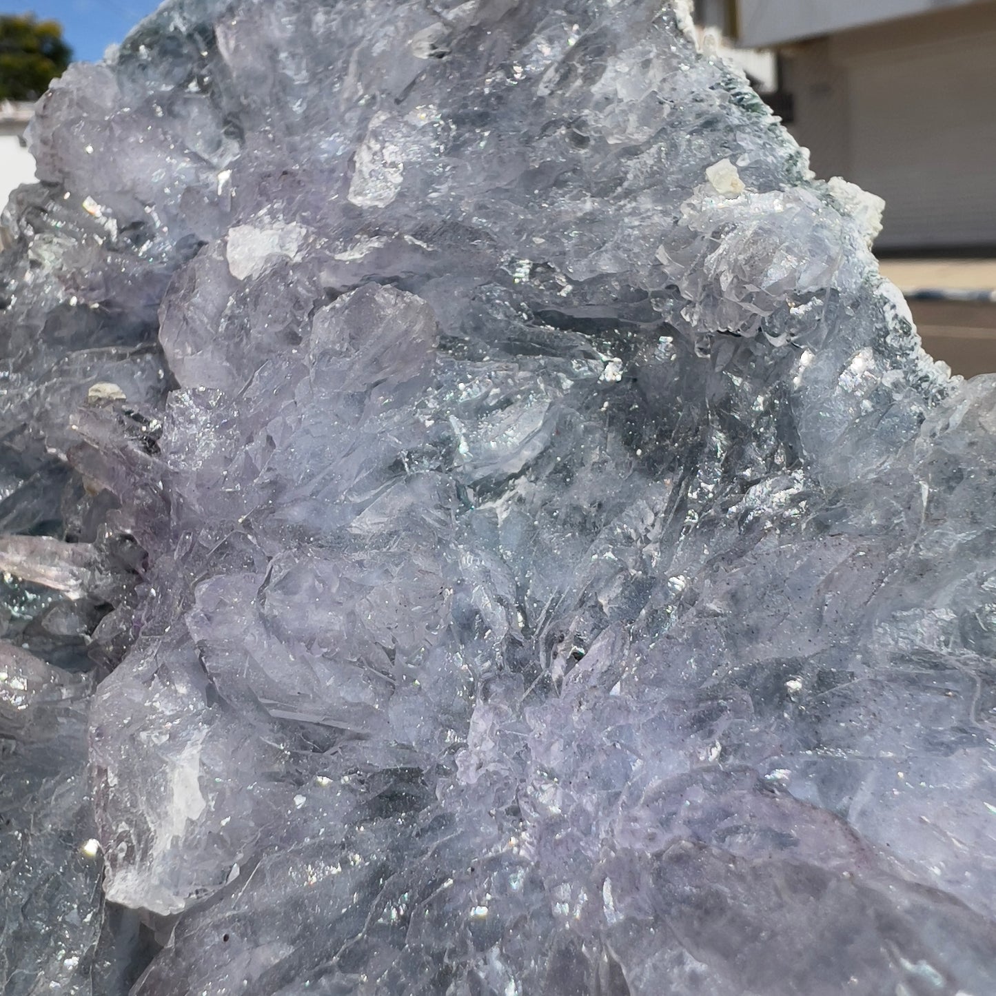 Large Amethyst Flower Slice (9") | Brazilian "Anomaly" Crystal Plate | Radiating Rosette Slab | Rare Thin Specimen | Fossil Look Decor