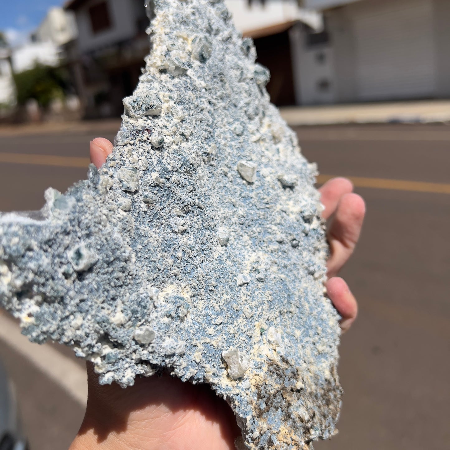Large Amethyst Flower Slice (9") | Brazilian "Anomaly" Crystal Plate | Radiating Rosette Slab | Rare Thin Specimen | Fossil Look Decor