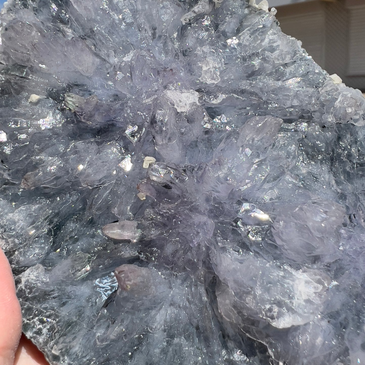 Large Amethyst Flower Slice (9") | Brazilian "Anomaly" Crystal Plate | Radiating Rosette Slab | Rare Thin Specimen | Fossil Look Decor