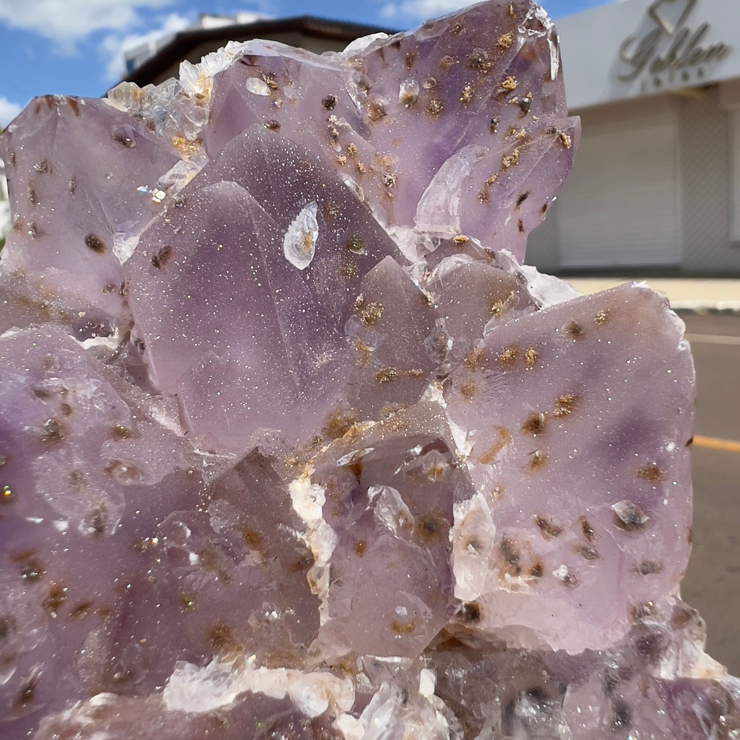 2.2lb Large Sugar Amethyst Flower Cluster | Brazilian Frosty Purple Crystal | Calcite Symbiosis | Rare Rosette Specimen | Statement Decor