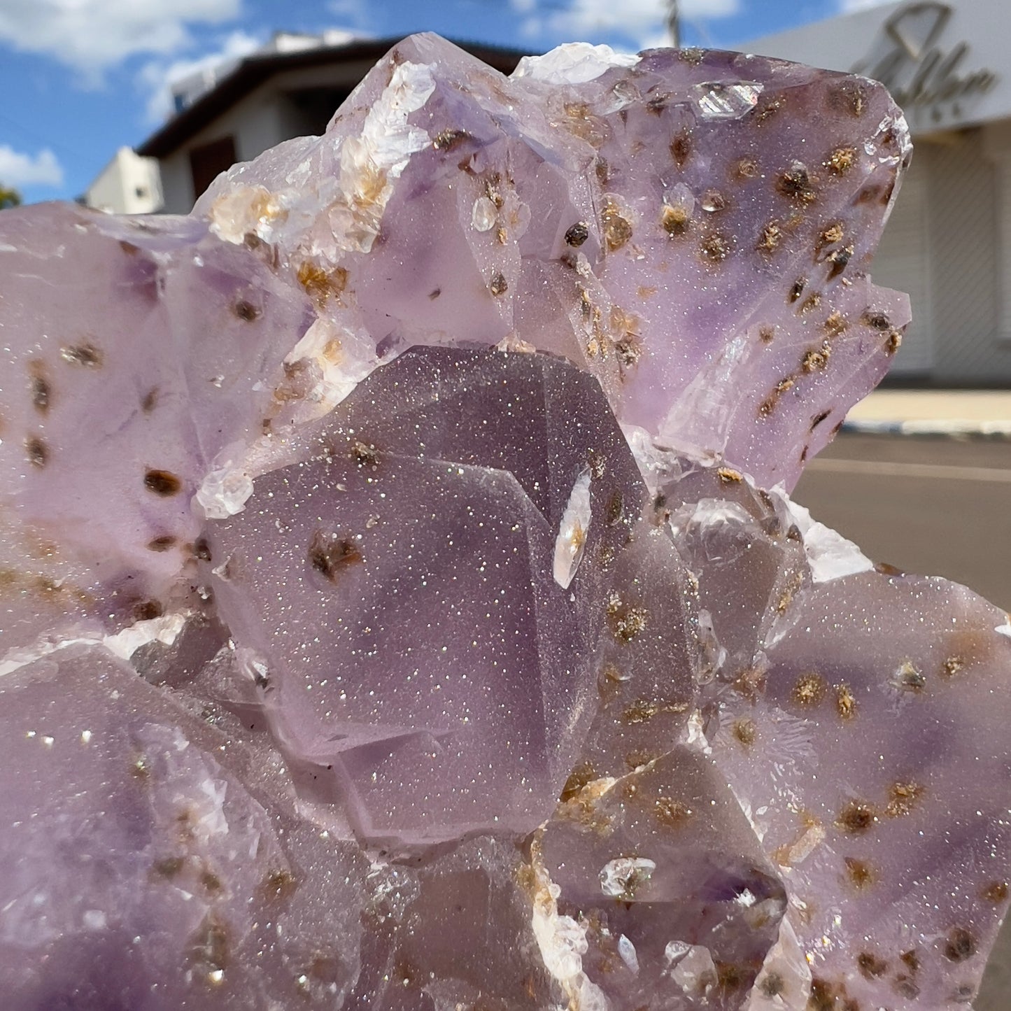 2.2lb Large Sugar Amethyst Flower Cluster | Brazilian Frosty Purple Crystal | Calcite Symbiosis | Rare Rosette Specimen | Statement Decor