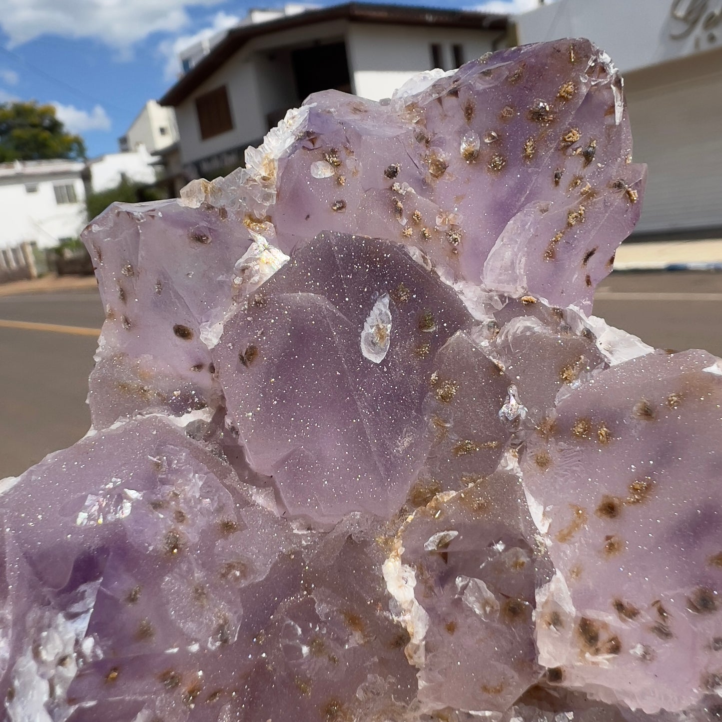 2.2lb Large Sugar Amethyst Flower Cluster | Brazilian Frosty Purple Crystal | Calcite Symbiosis | Rare Rosette Specimen | Statement Decor