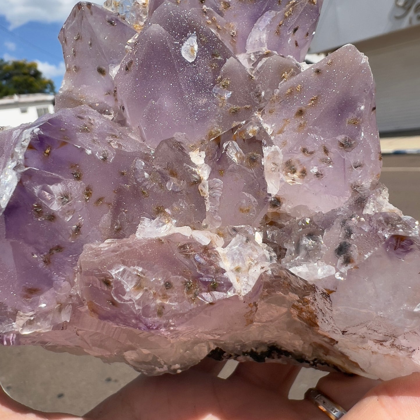 2.2lb Large Sugar Amethyst Flower Cluster | Brazilian Frosty Purple Crystal | Calcite Symbiosis | Rare Rosette Specimen | Statement Decor
