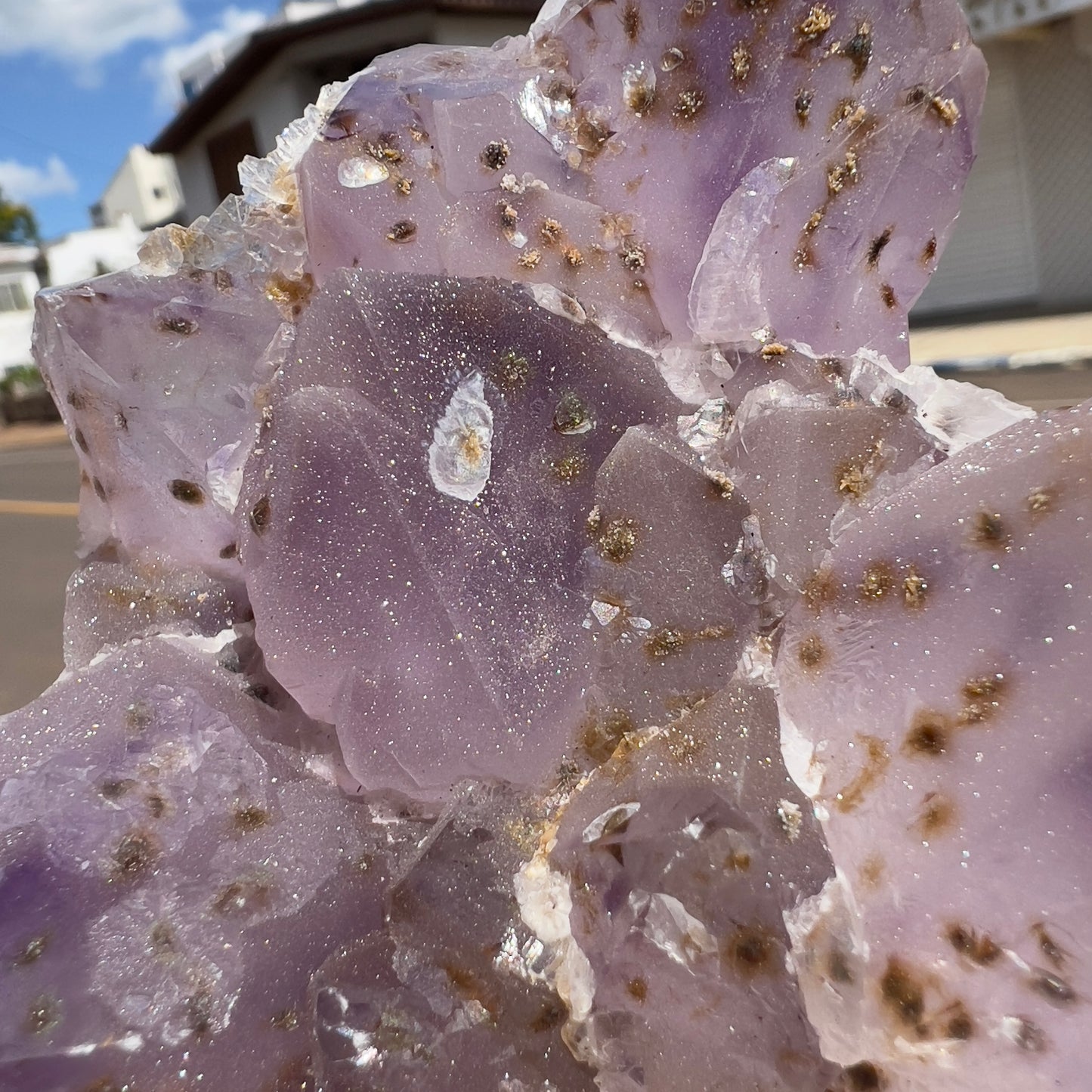 2.2lb Large Sugar Amethyst Flower Cluster | Brazilian Frosty Purple Crystal | Calcite Symbiosis | Rare Rosette Specimen | Statement Decor