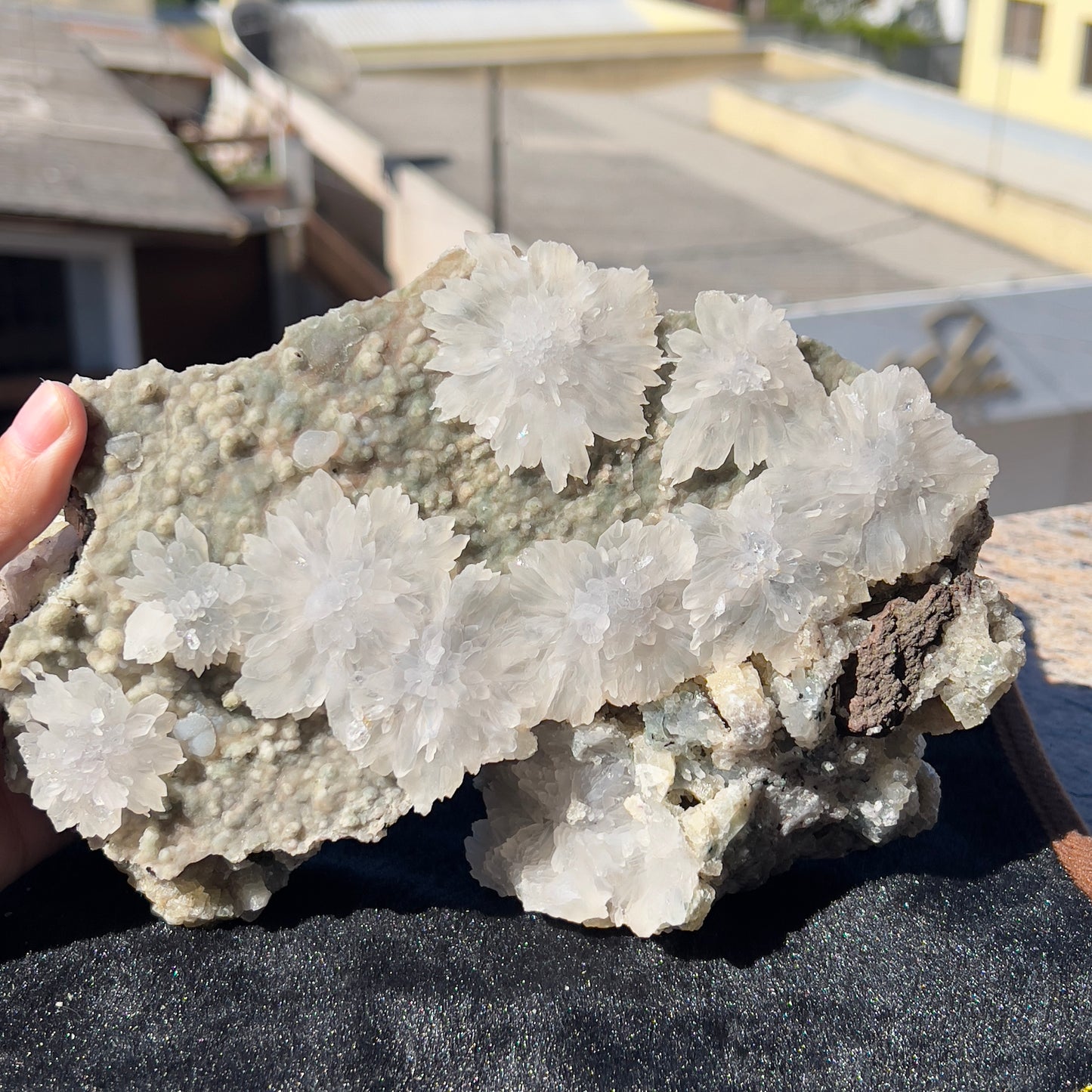 Natural Starburst Quartz Cluster on Green Epidote, Daisy Flower Crystal Specimen, Raw Crystal Cluster , Healing Crystal Home Decor