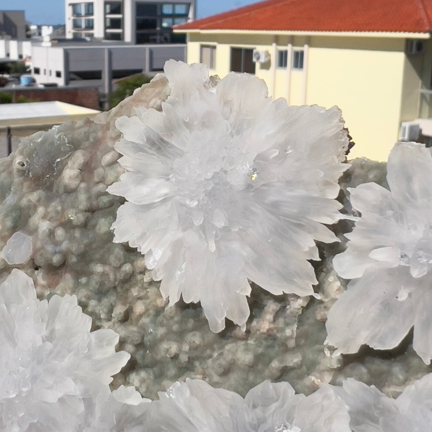 Natural Starburst Quartz Cluster on Green Epidote, Daisy Flower Crystal Specimen, Raw Crystal Cluster , Healing Crystal Home Decor