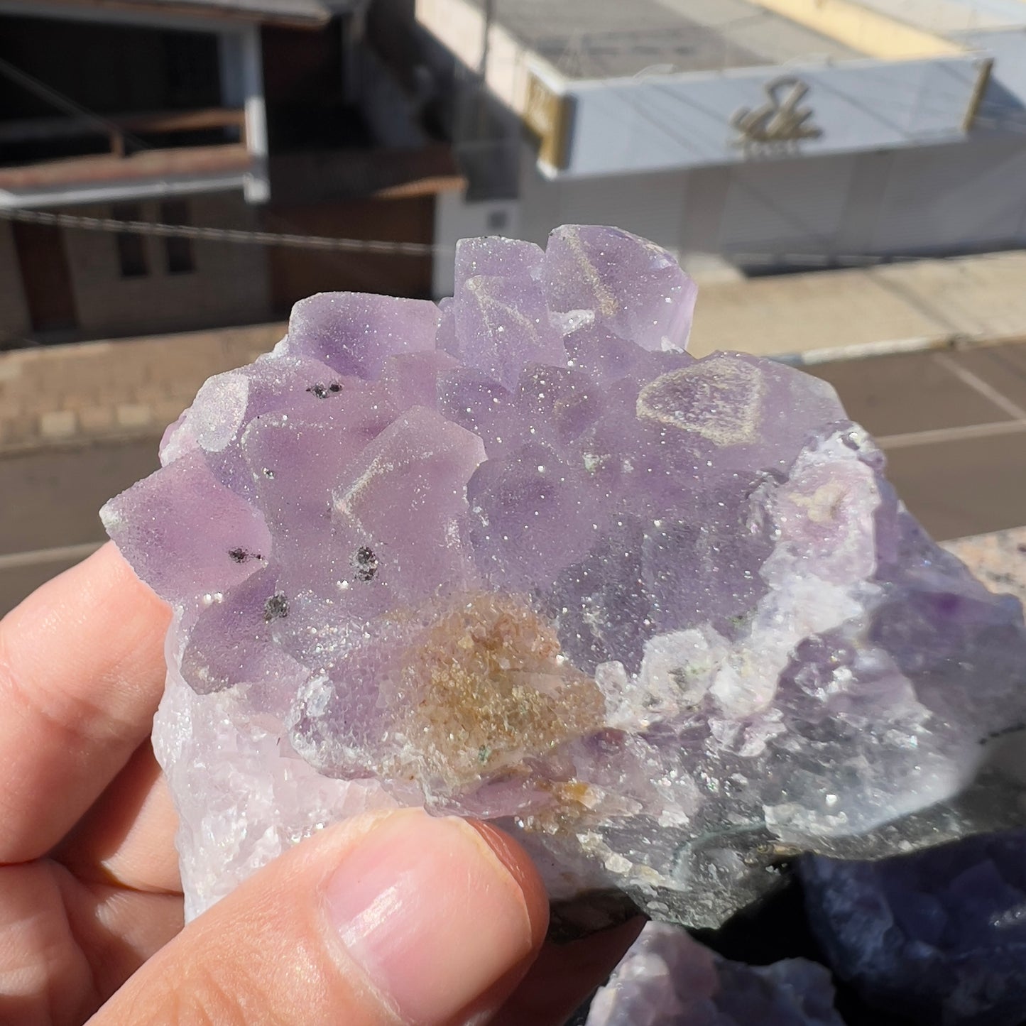 Set of 5 Raw Sugar Amethyst Crystals, Purple Druzy Specimen Lot, Brazilian Healing Stone Bulk, Exact Mineral Collection 1.28lb