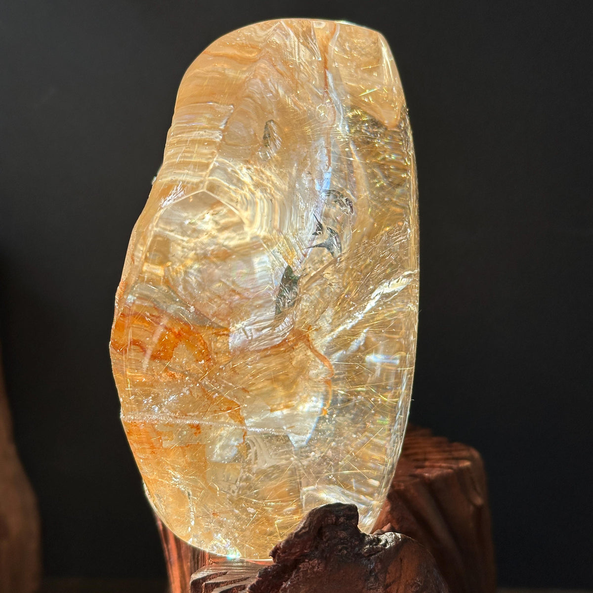 Rare Rutilated Yellow Hematoid Quartz on Custom Wood Stand, Golden Healer Crystal Freeform Decor, Exact Brazil Specimen 3.82lb - view 10