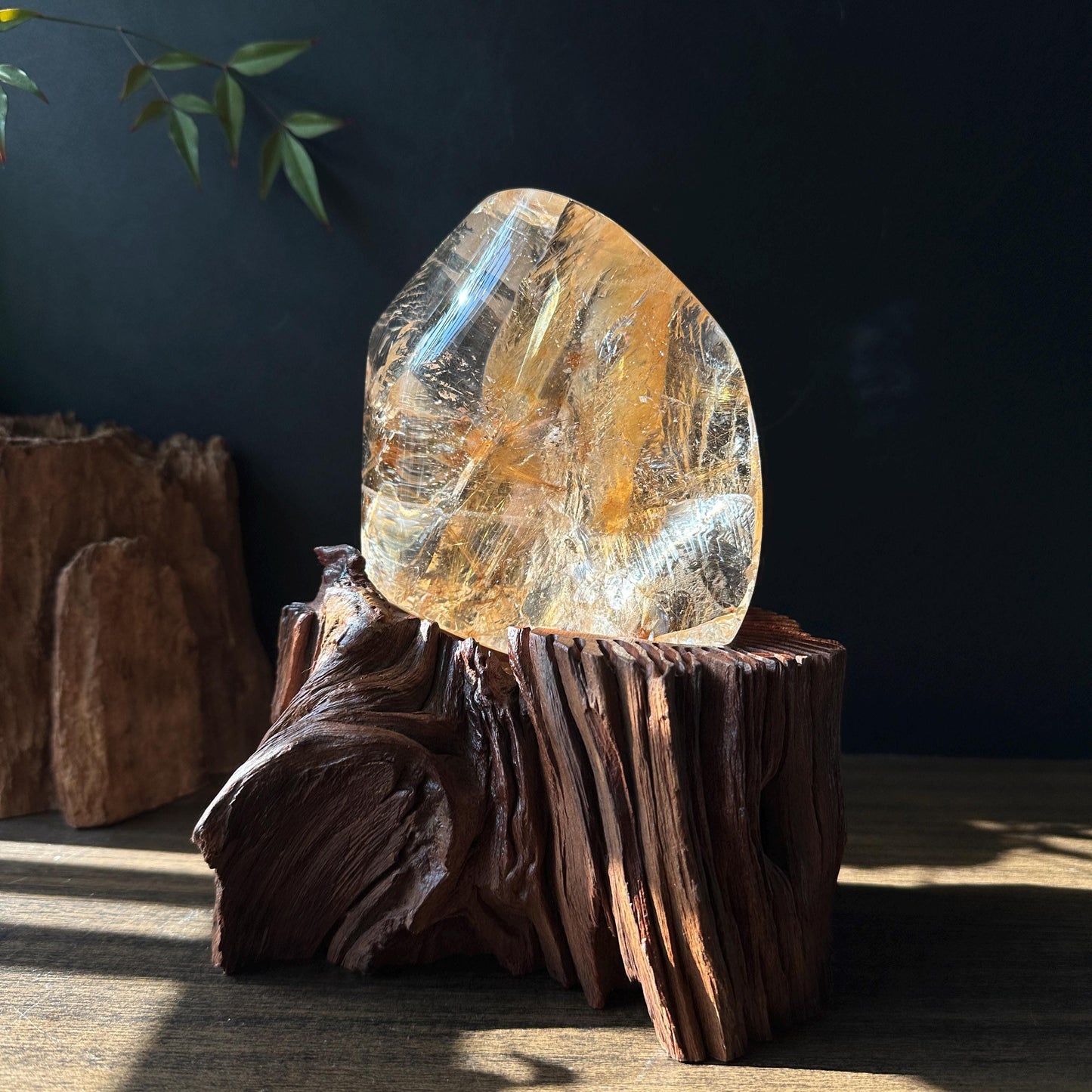 Rare Rutilated Yellow Hematoid Quartz on Custom Wood Stand, Golden Healer Crystal Freeform Decor, Exact Brazil Specimen 3.82lb - view 1