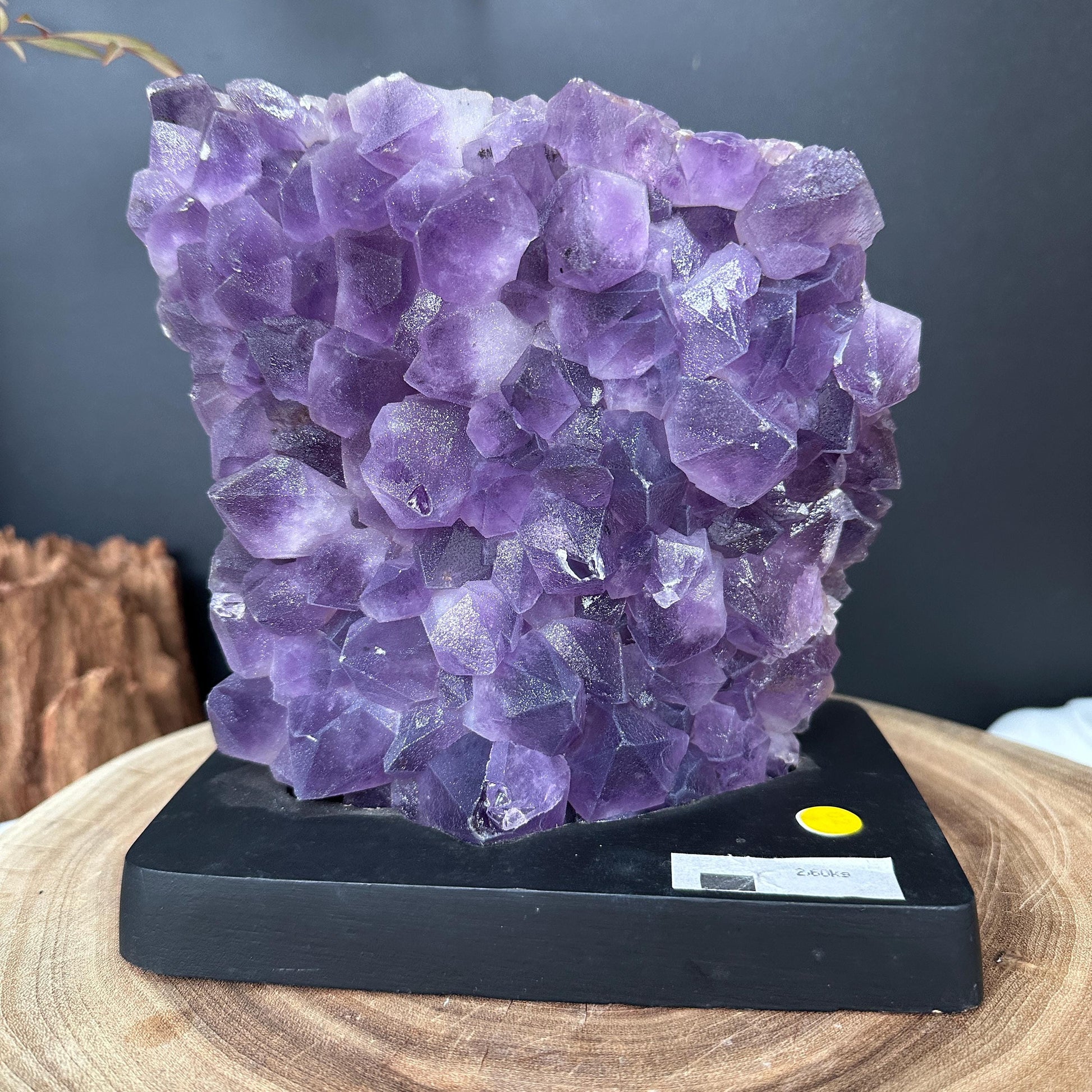Large Brazilian Sugar Amethyst Cluster on Custom Stand, Raw Purple Druzy Crystal Specimen, Exact Healing Mineral Decor 5.73lb - view 10