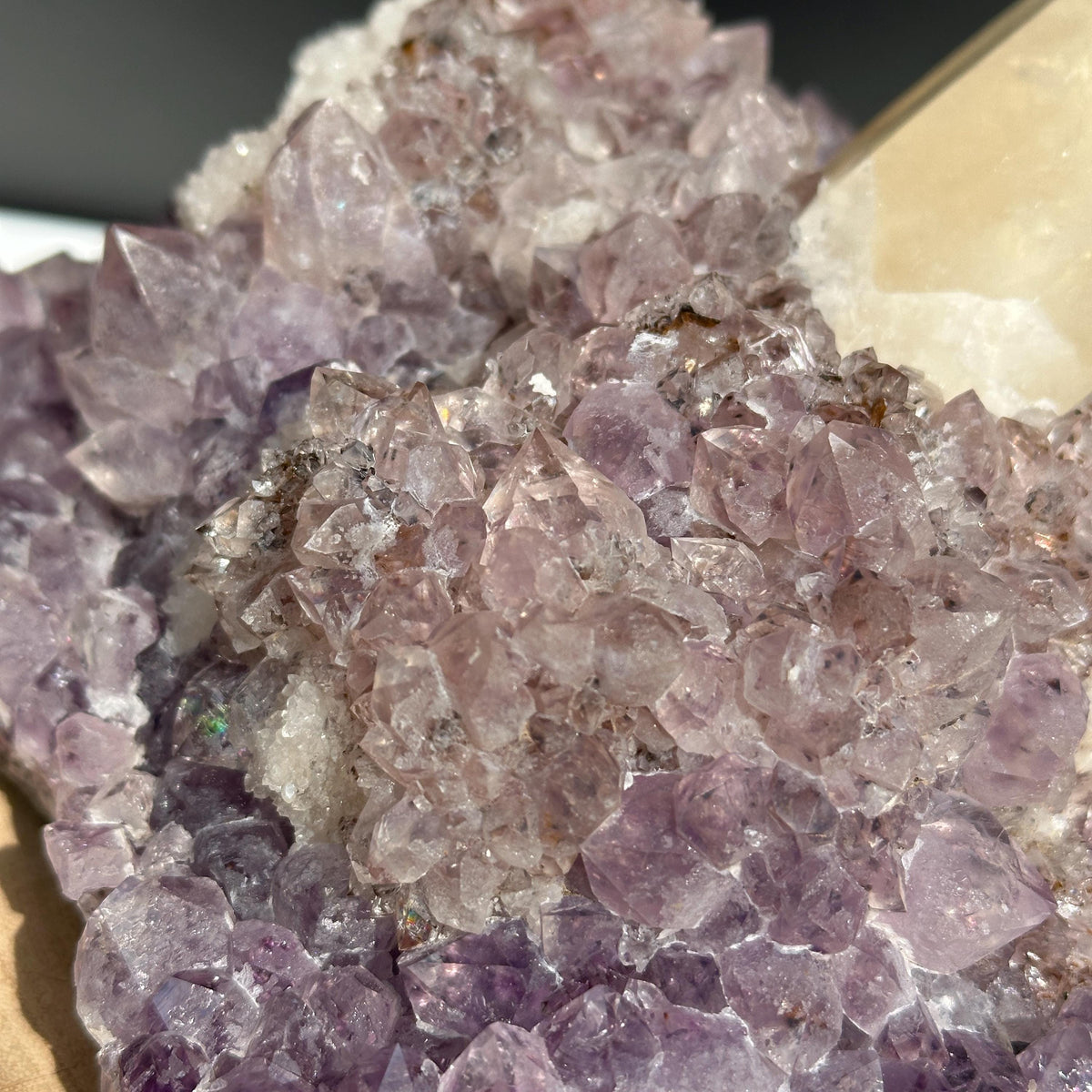 Huge Intact Calcite on Amethyst Cluster, Rare Rutilated Quartz Symbiosis Specimen, Lightly Polished Brazilian Geode by Hobo Exact 5.84lb - view 10